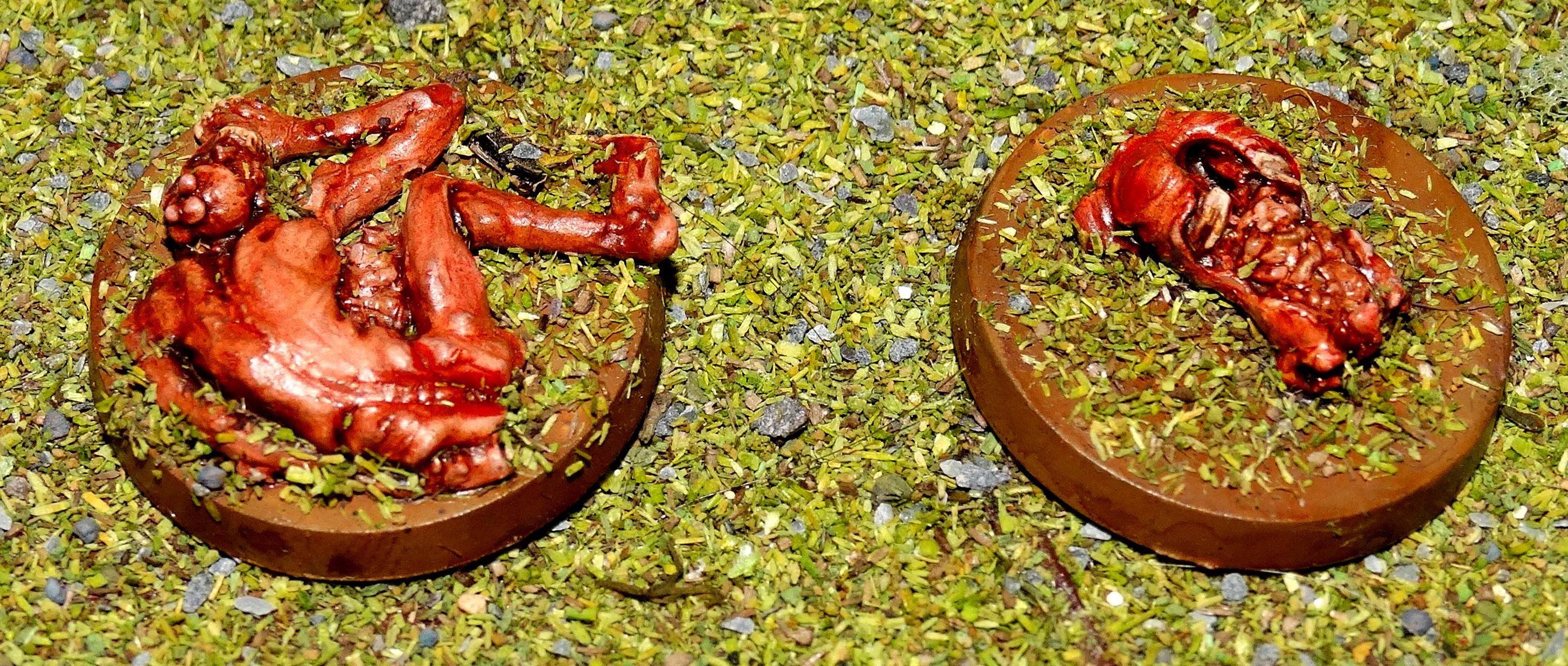 Carcasses