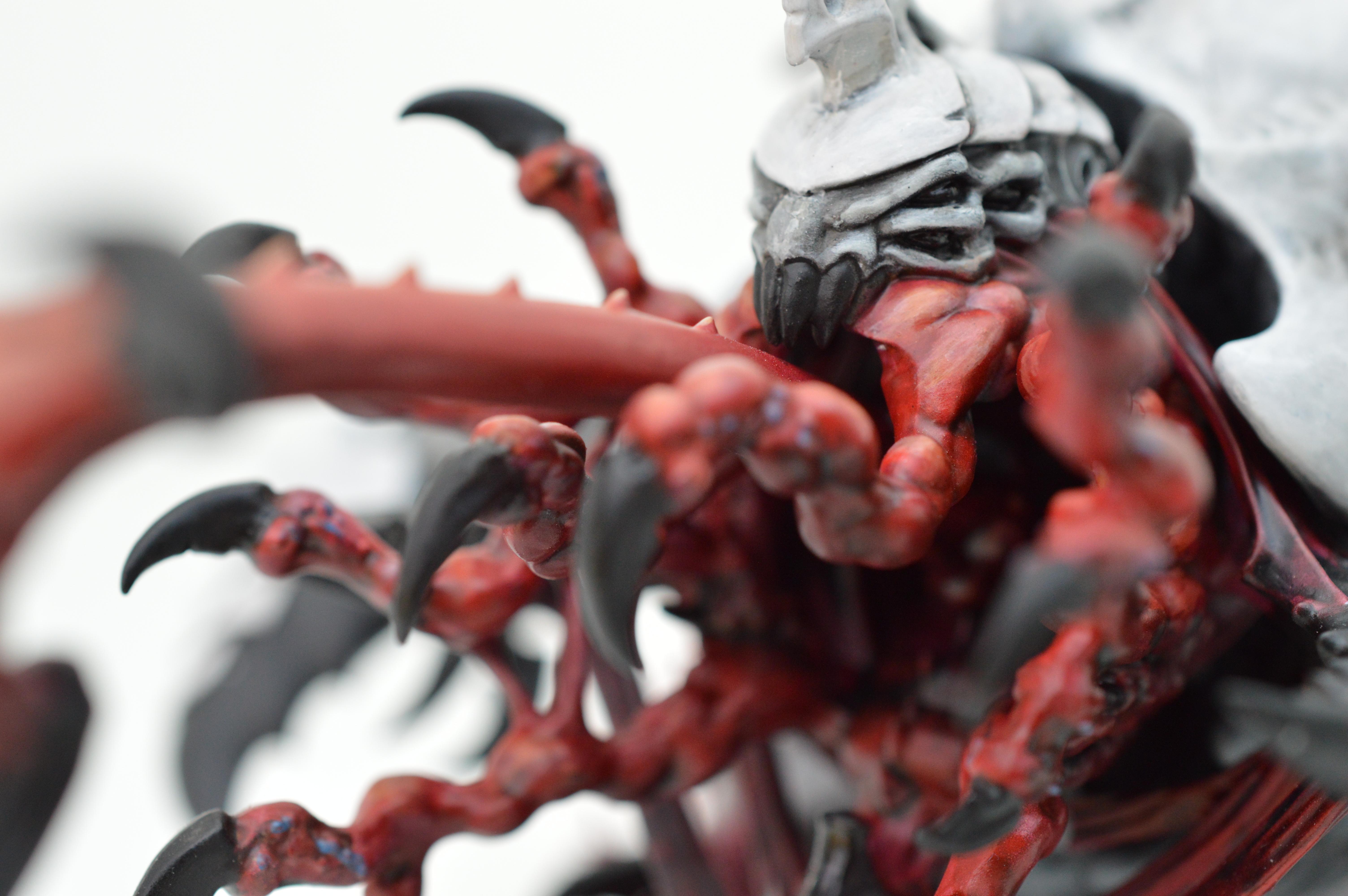 Black, Hive Fleet Typhon, Red, Tyranids, White