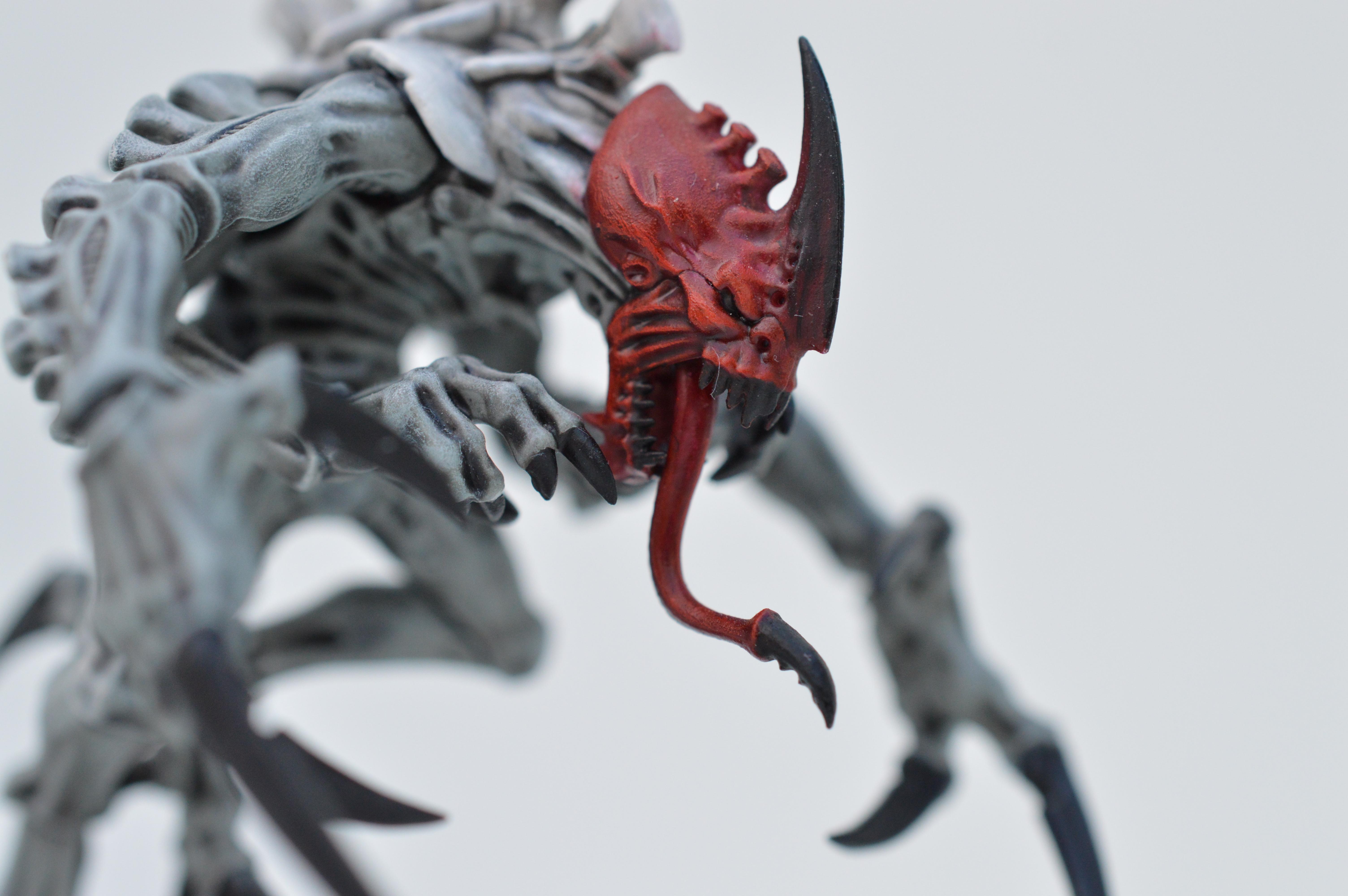 Black, Hive Fleet Typhon, Red, Tyranids, White