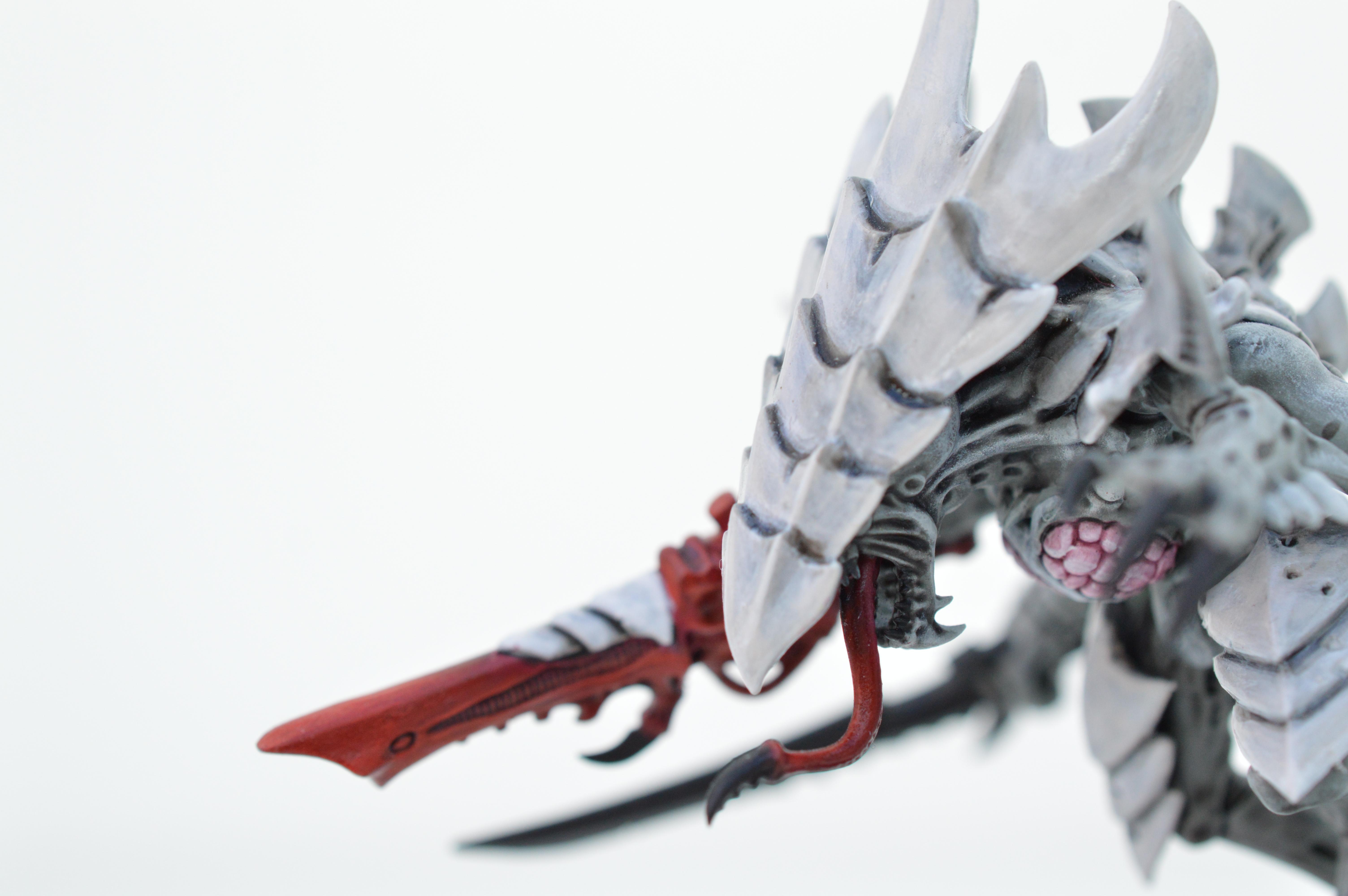 Black, Hive Fleet Typhon, Red, Tyranids, White