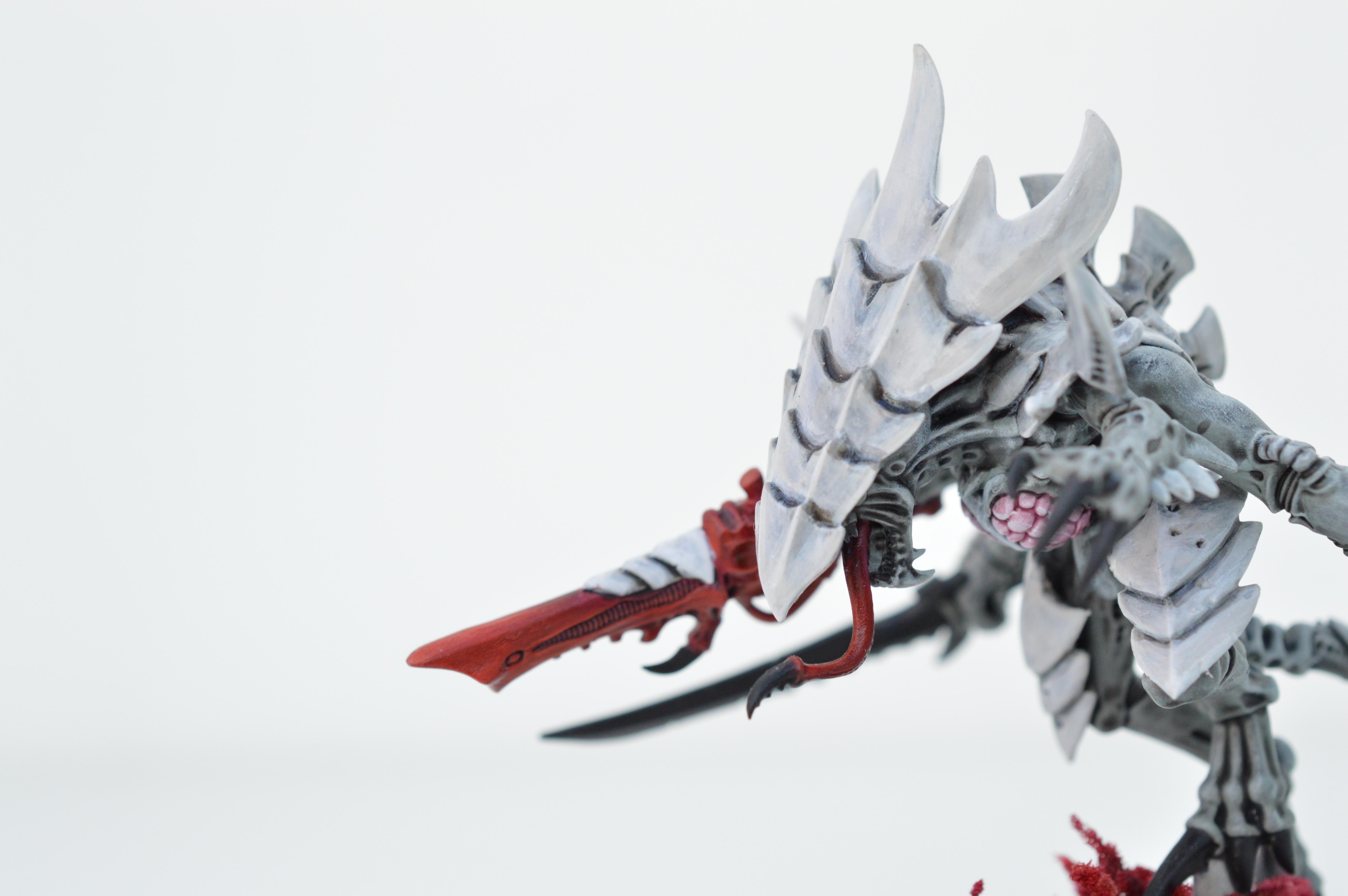 Black, Hive Fleet Typhon, Red, Tyranids, White
