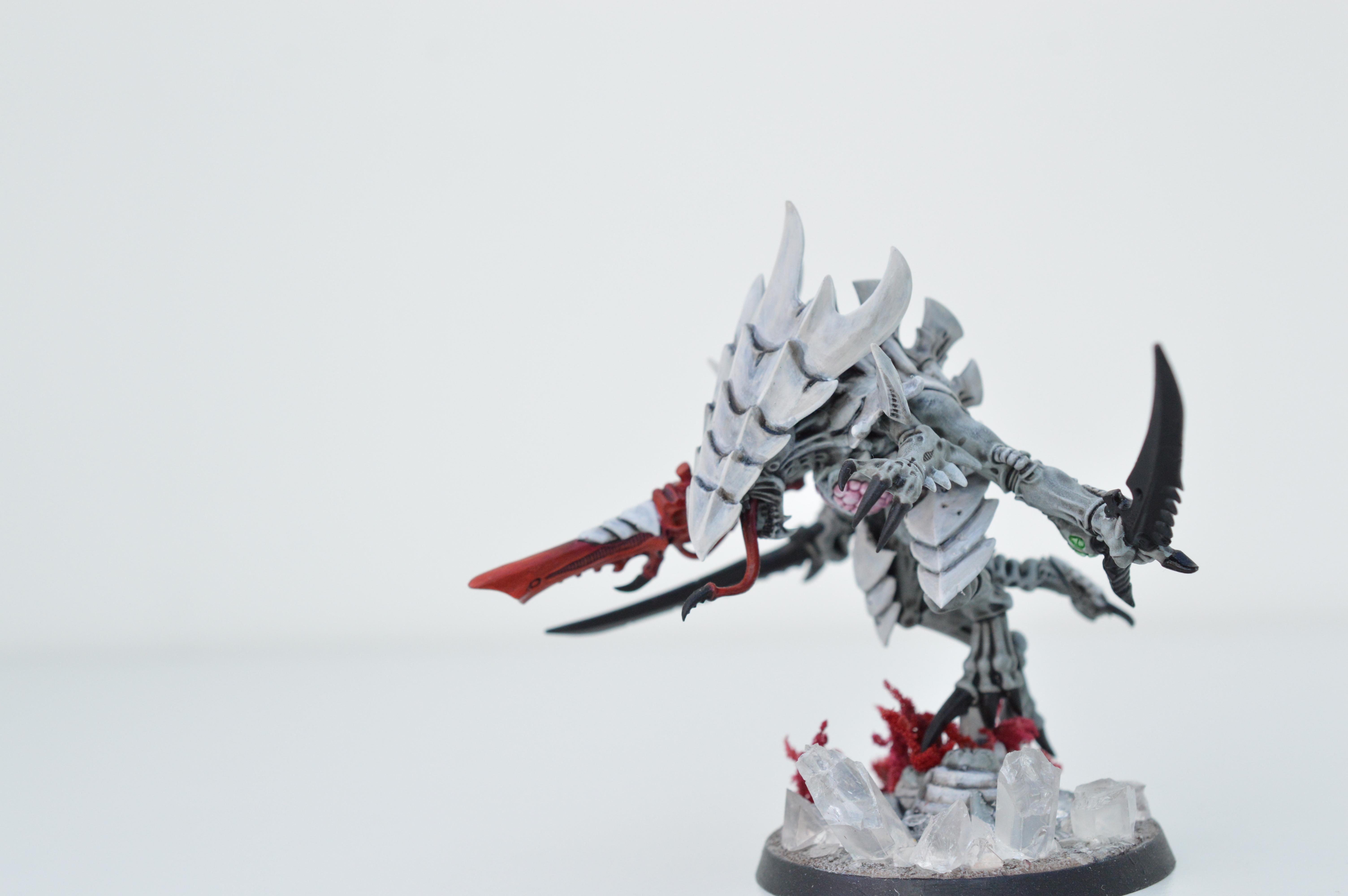 Black, Hive Fleet Typhon, Red, Tyranids, White