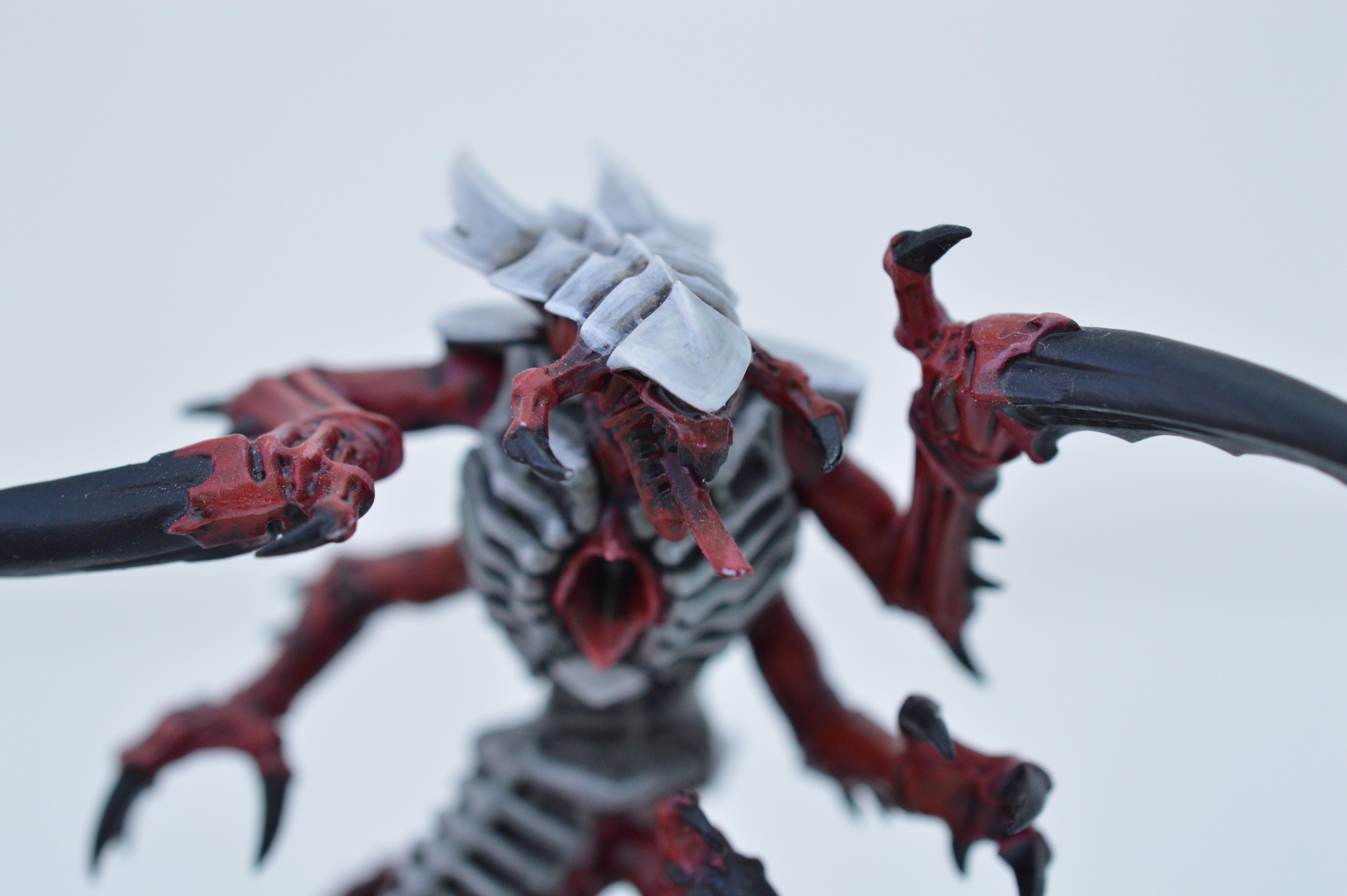 Black, Hive Fleet Typhon, Red, Tyranids, White