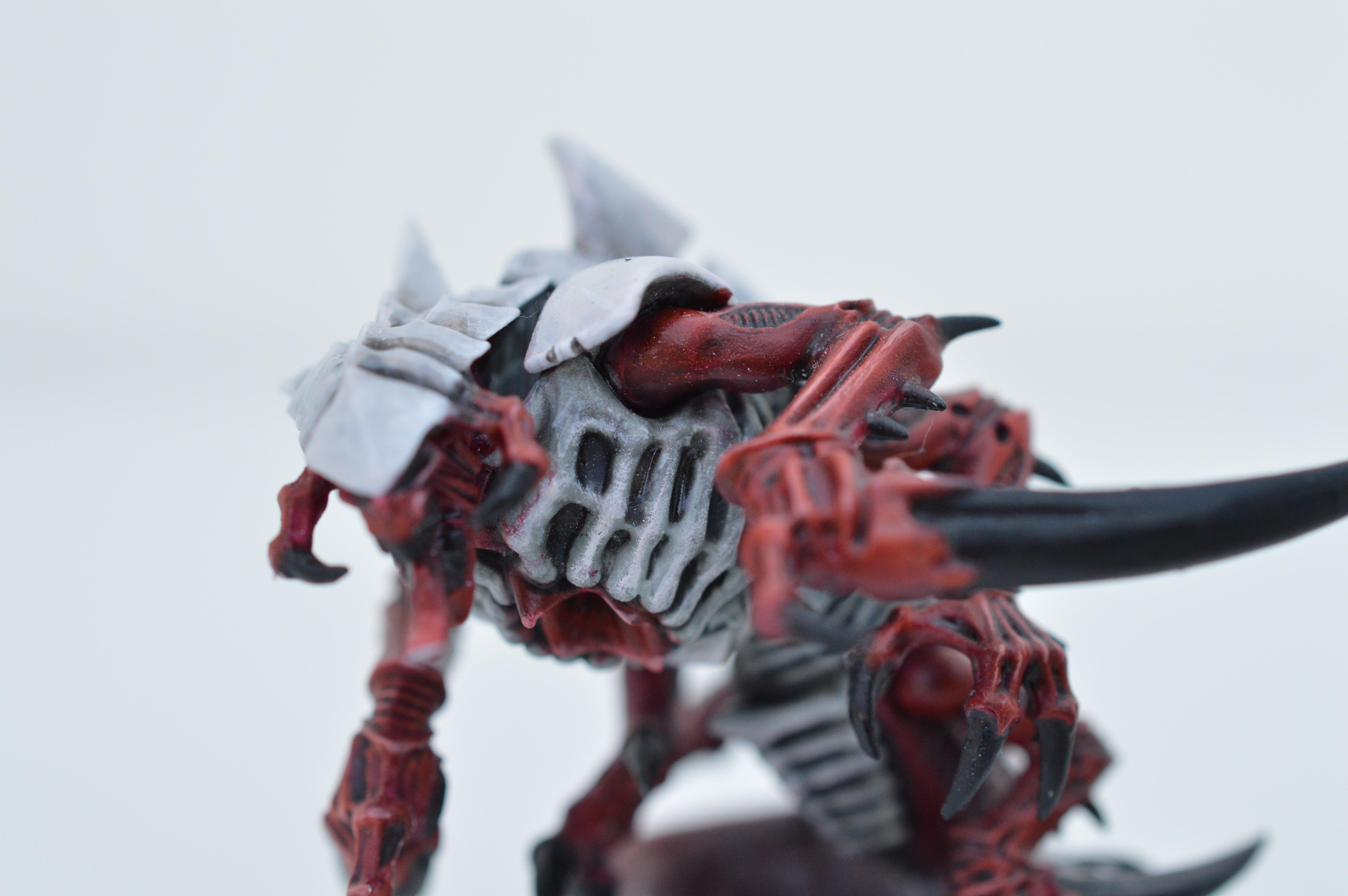 Black, Hive Fleet Typhon, Red, Tyranids, White
