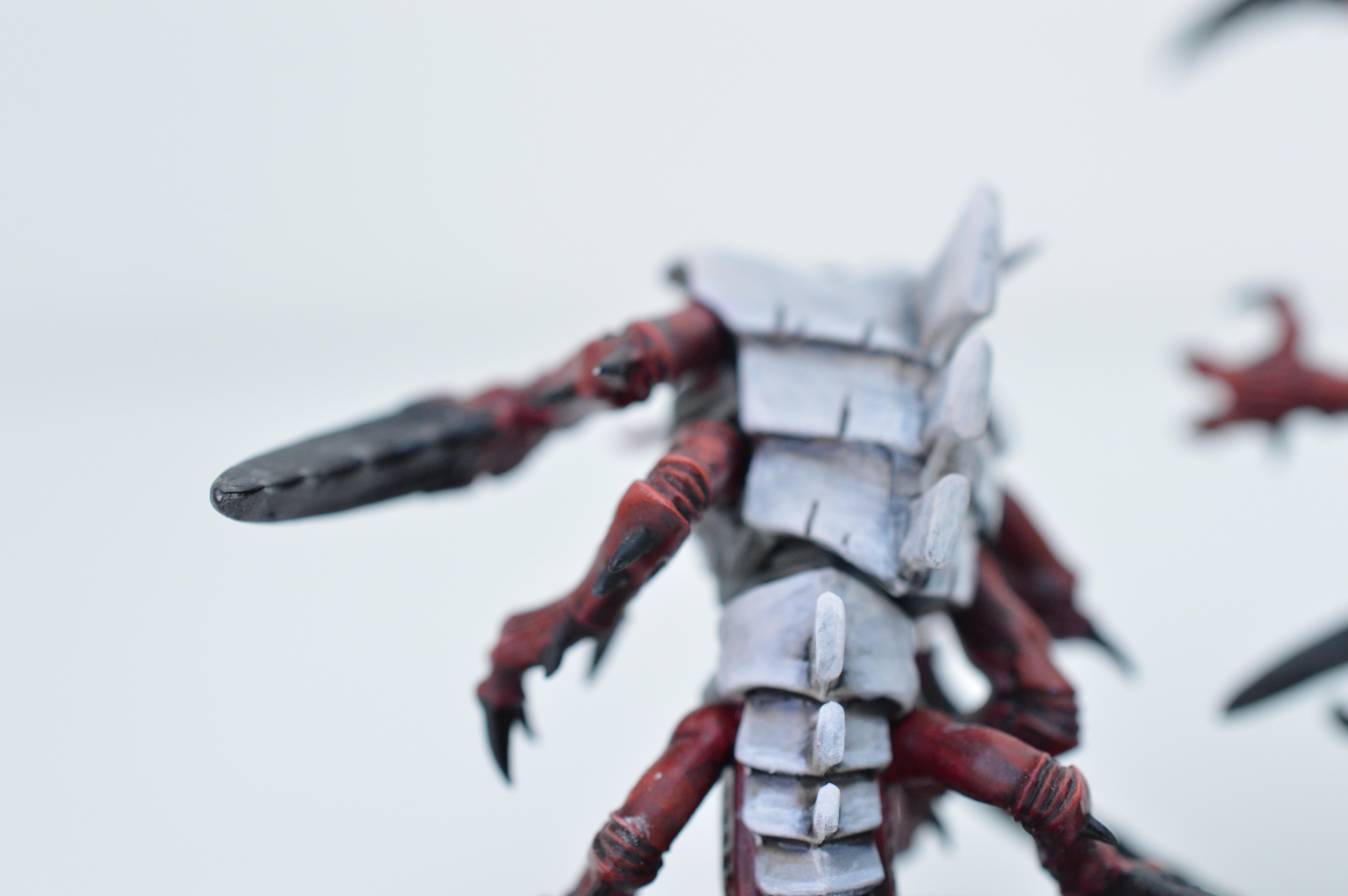 Black, Hive Fleet Typhon, Red, Tyranids, White