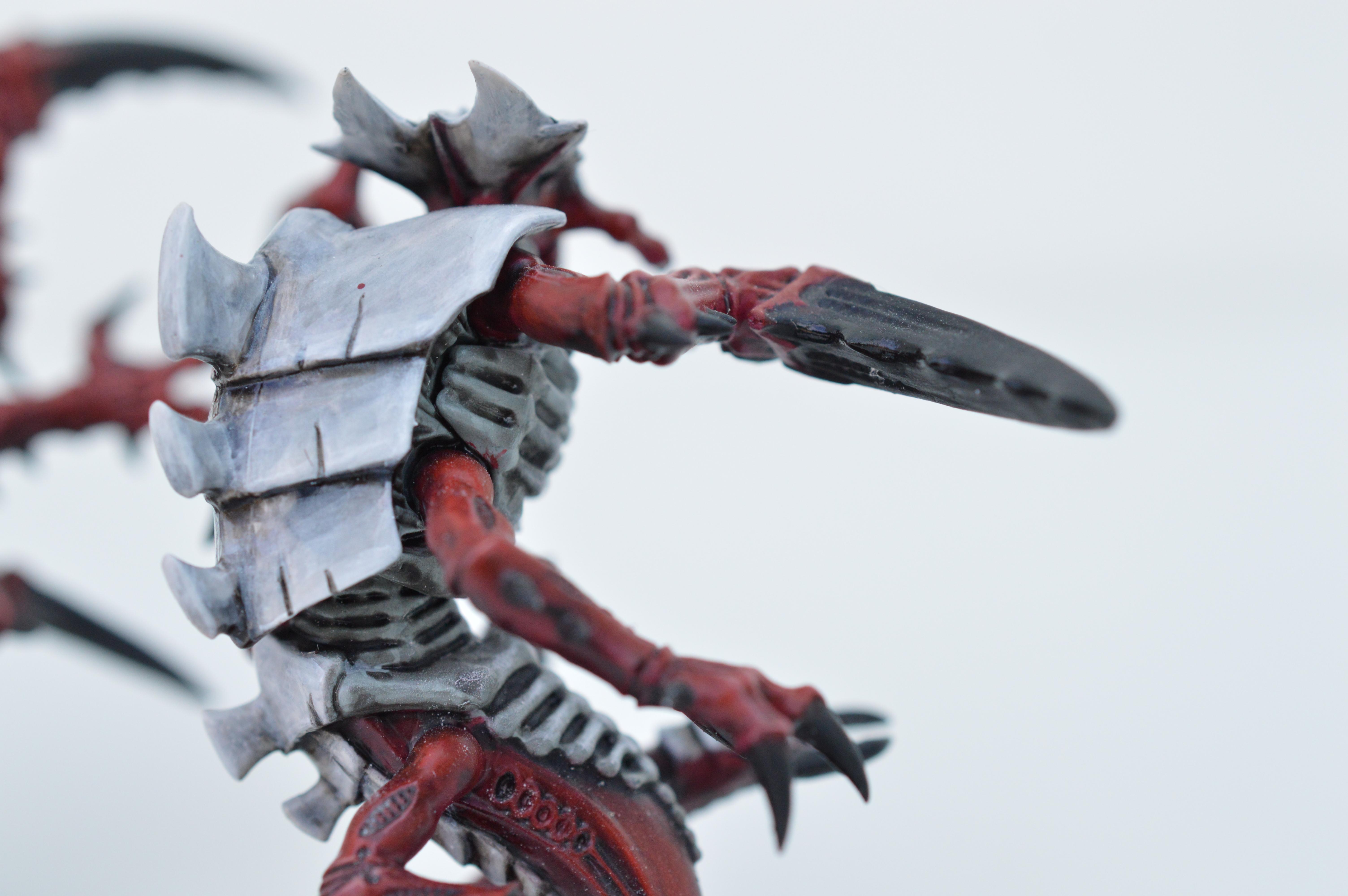 Black, Hive Fleet Typhon, Red, Tyranids, White