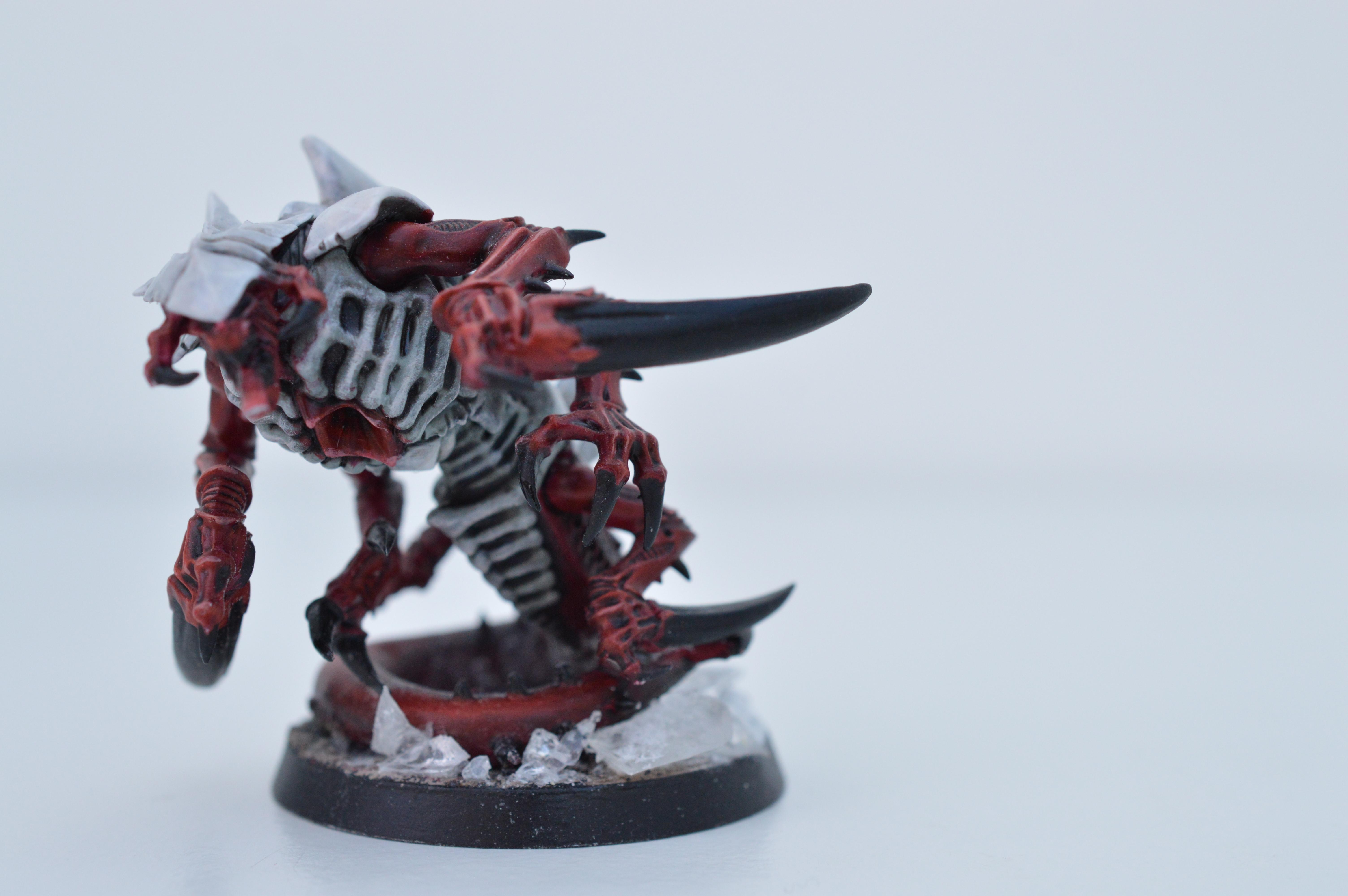 Black, Hive Fleet Typhon, Red, Tyranids, White