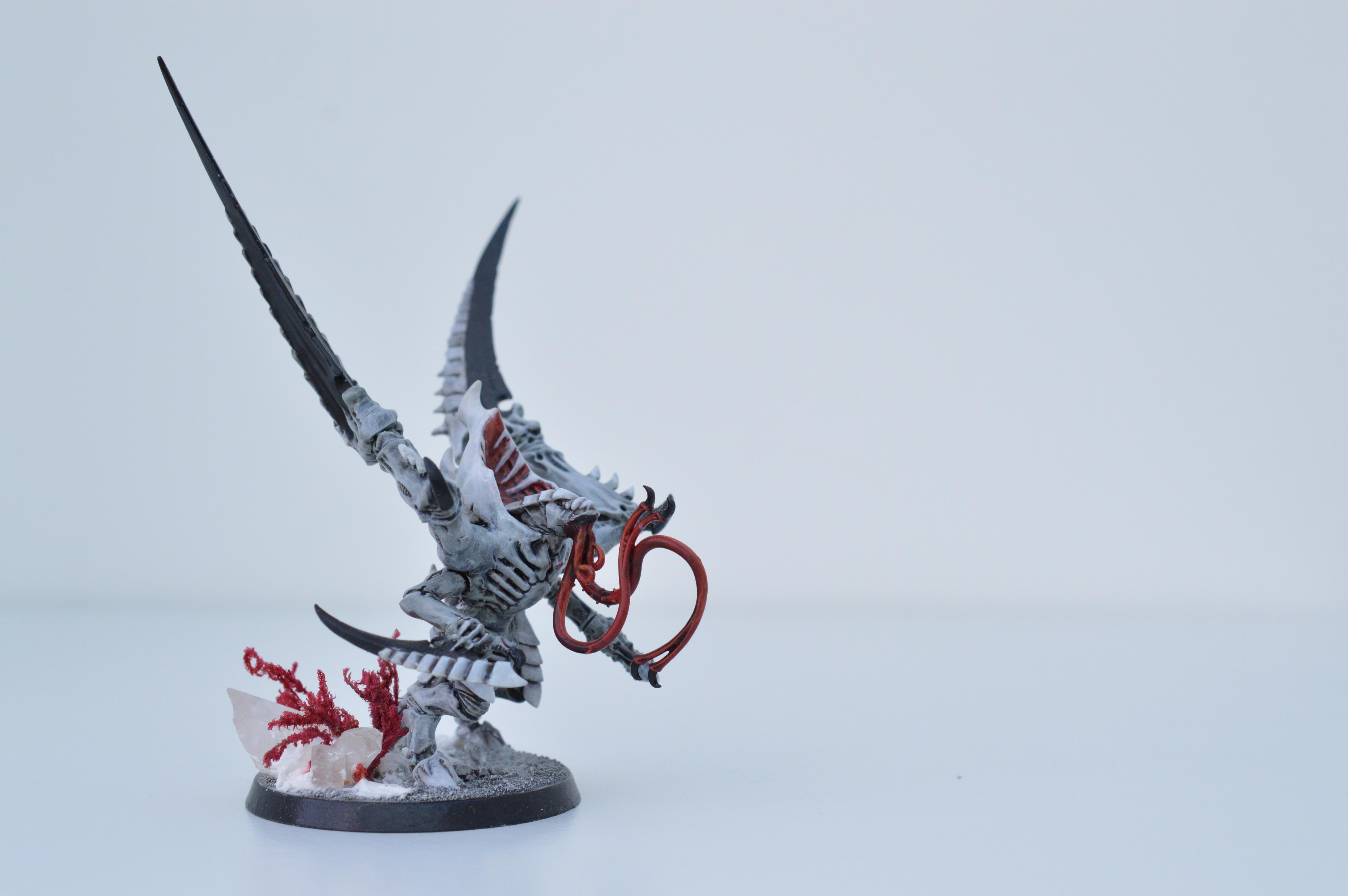 Black, Hive Fleet Typhon, Red, Tyranids, White