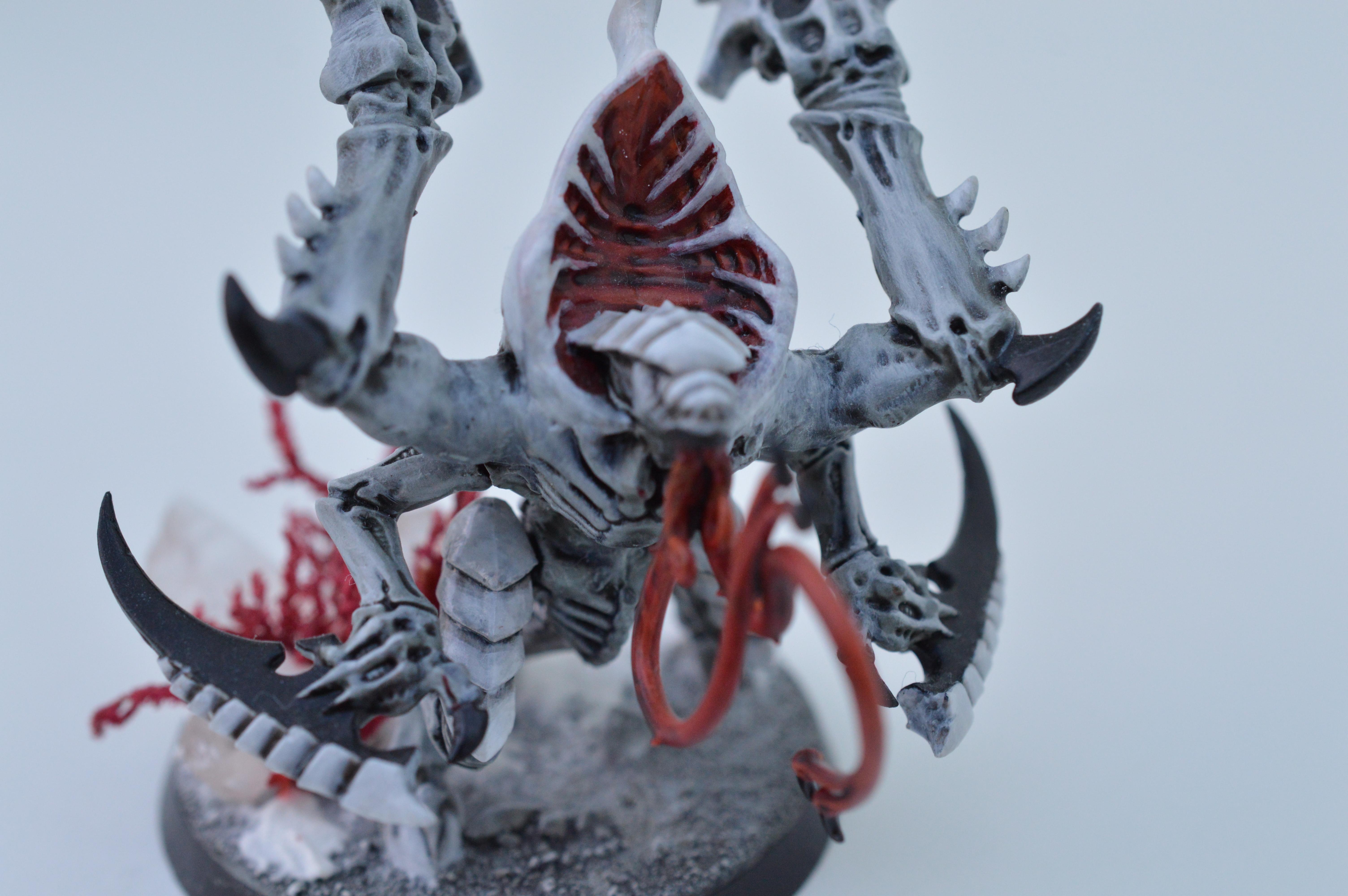 Black, Hive Fleet Typhon, Red, Tyranids, White