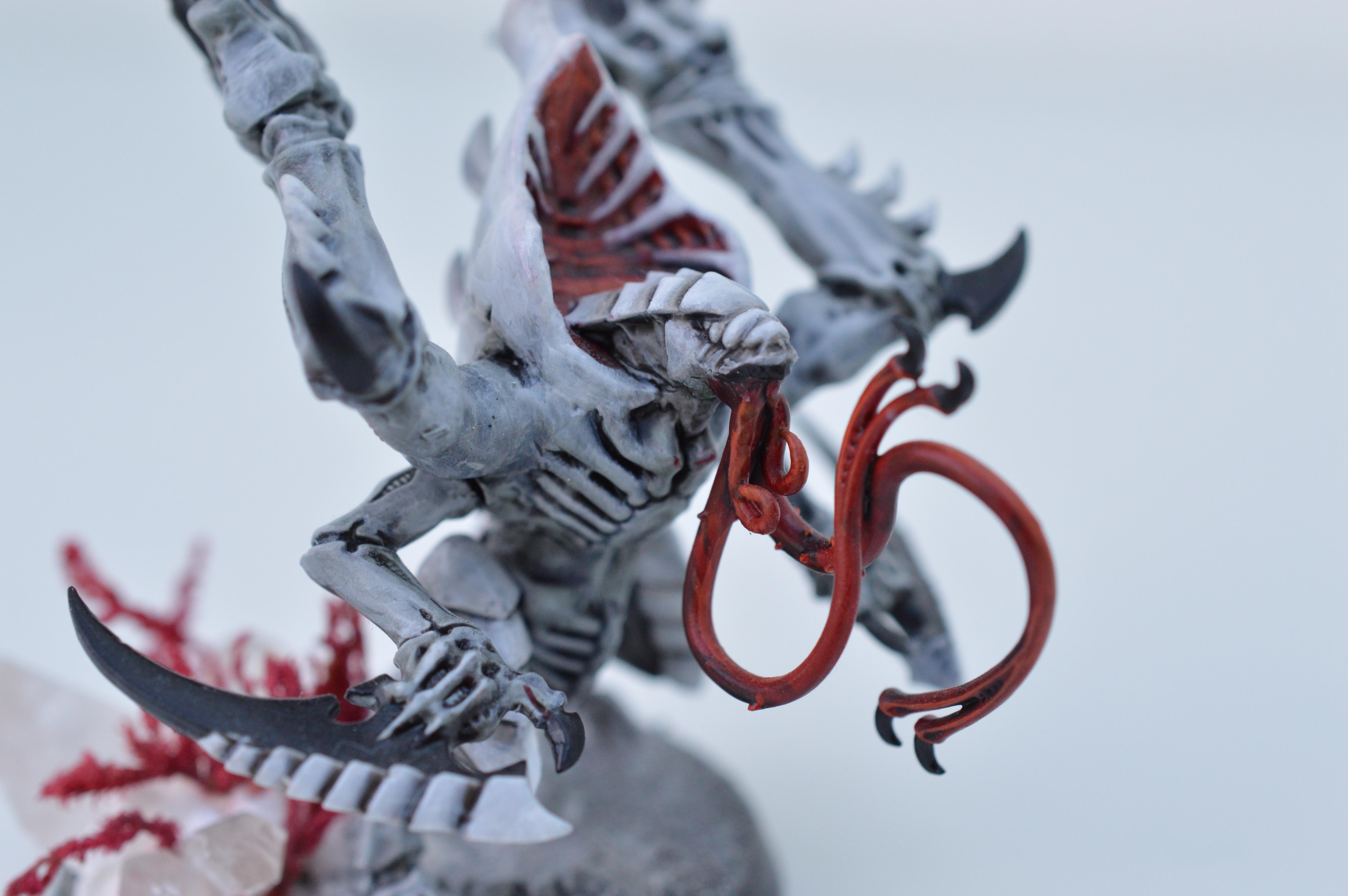 Black, Hive Fleet Typhon, Red, Tyranids, White