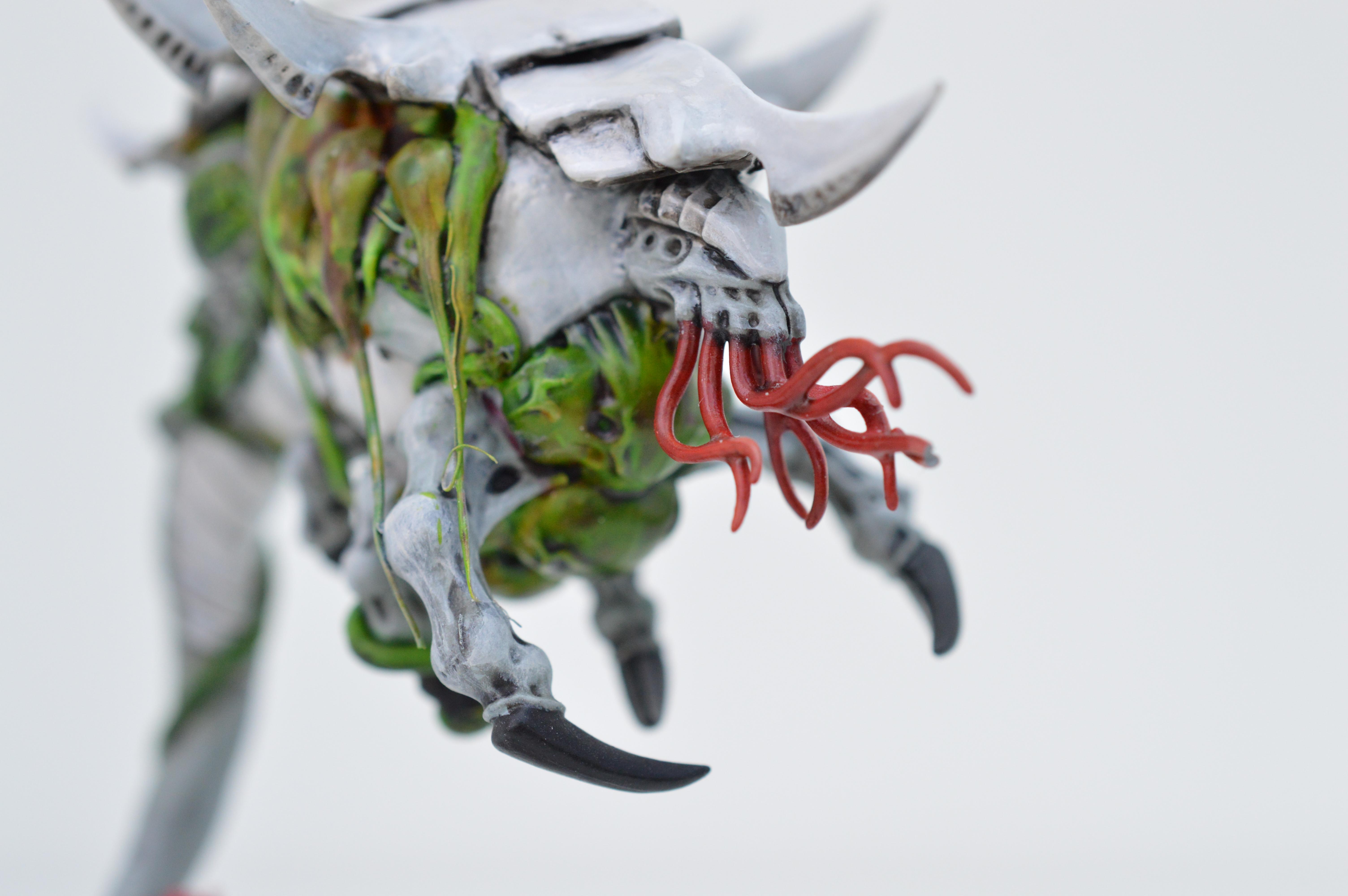 Black, Hive Fleet Typhon, Red, Tyranids, White