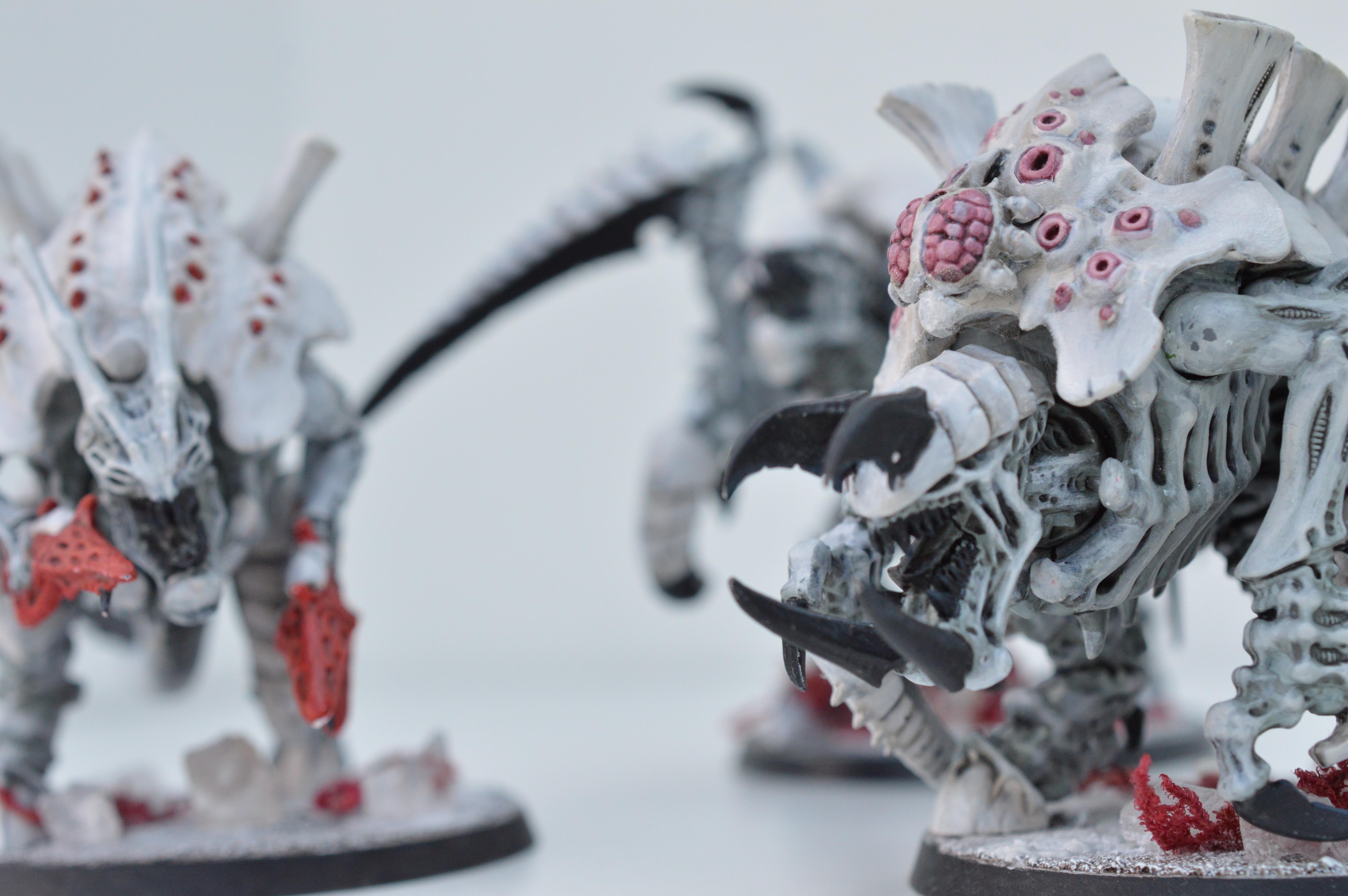 Black, Hive Fleet Typhon, Red, Tyranids, White