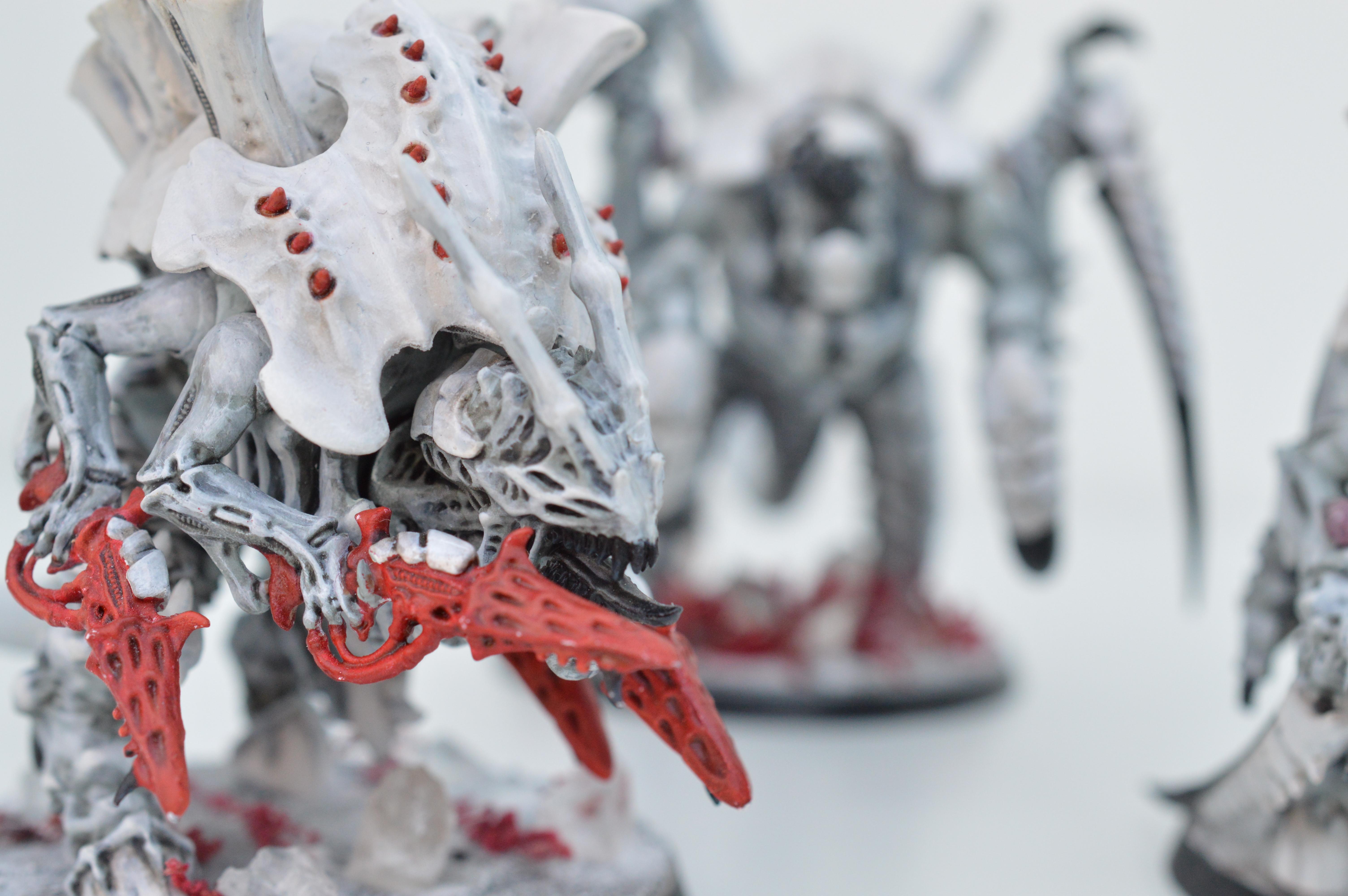 Black, Hive Fleet Typhon, Red, Tyranids, White