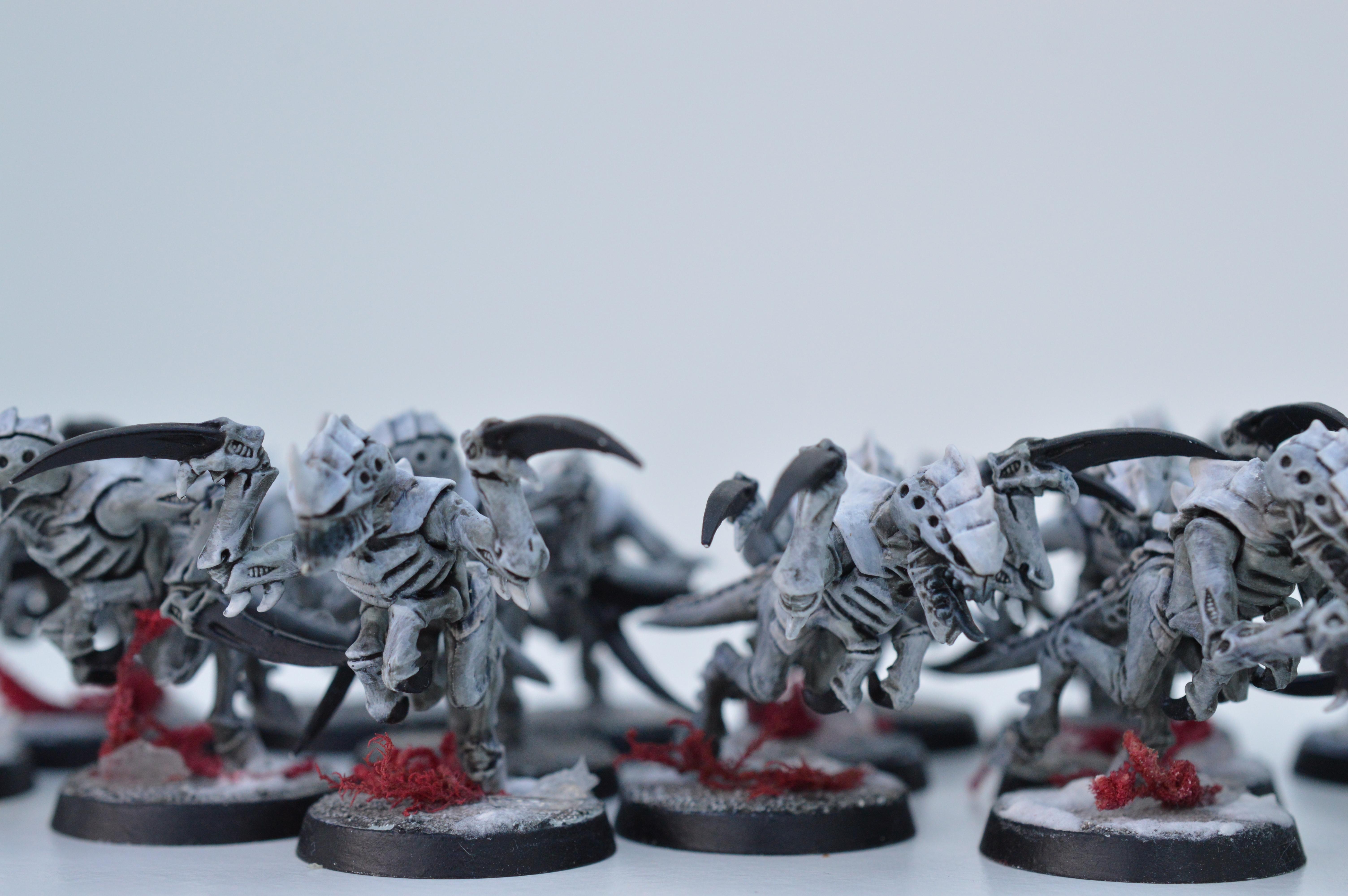 Black, Hive Fleet Typhon, Red, Tyranids, White