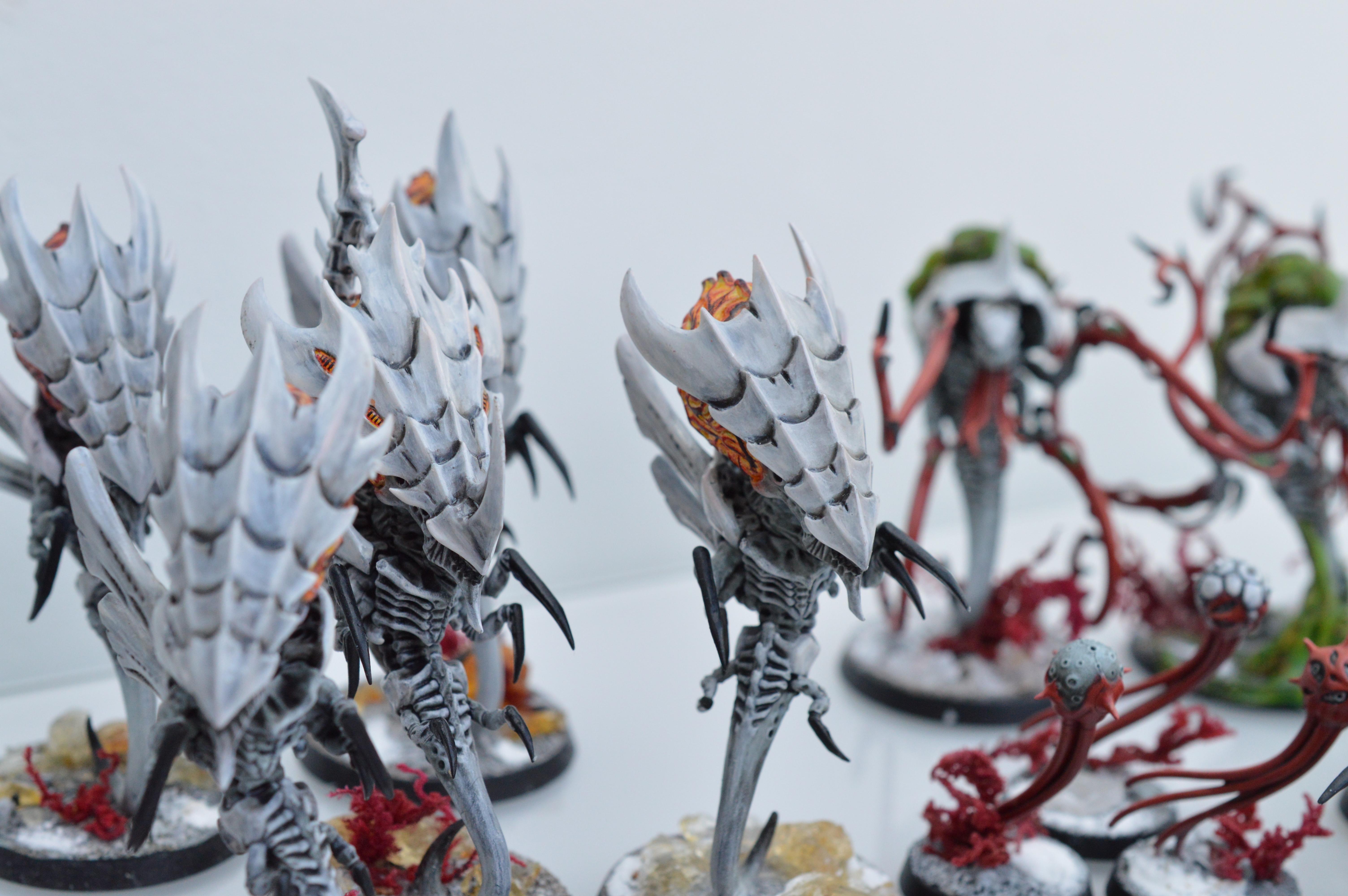 Black, Hive Fleet Typhon, Red, Tyranids, White