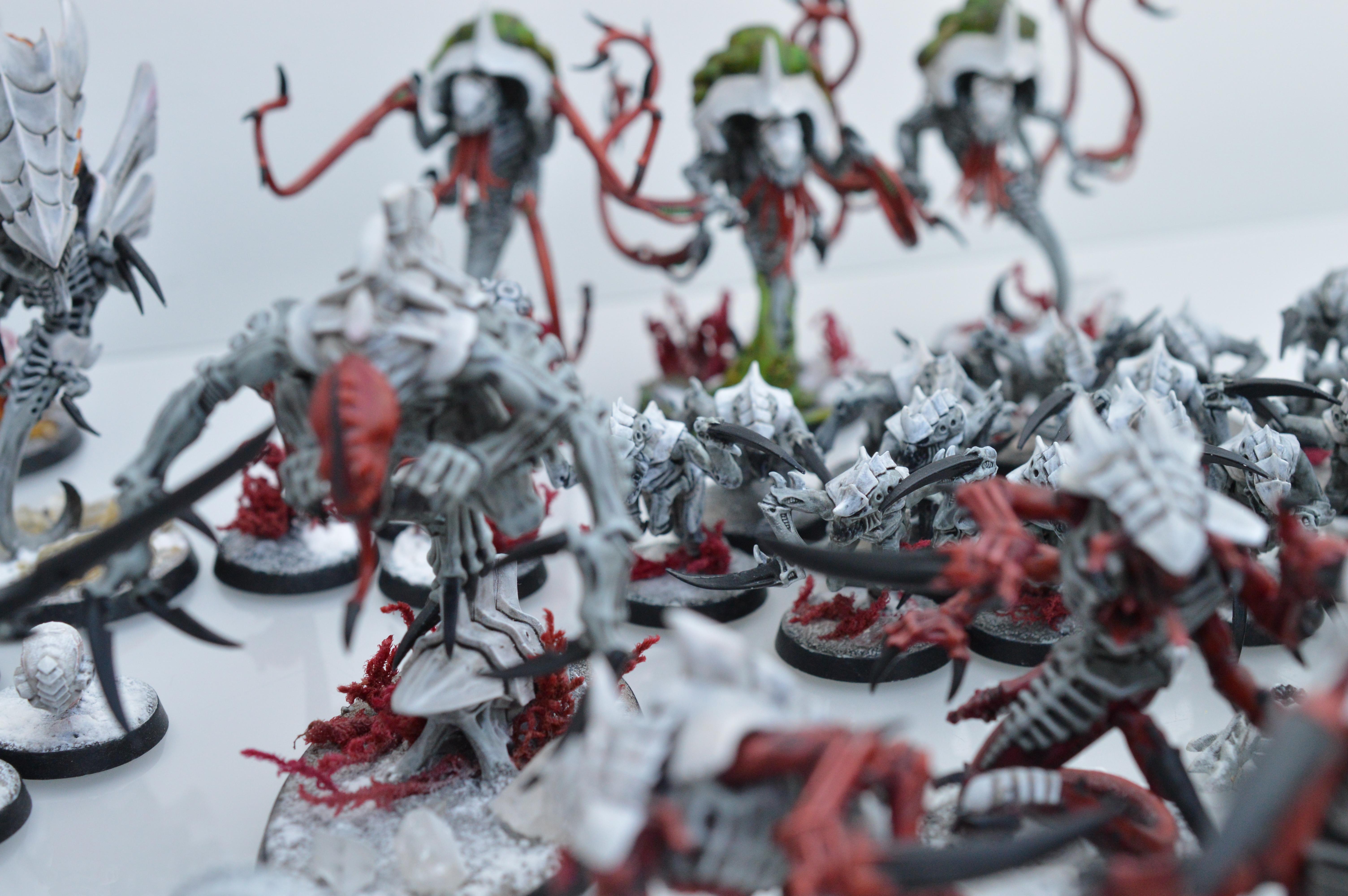 Black, Hive Fleet Typhon, Red, Tyranids, White
