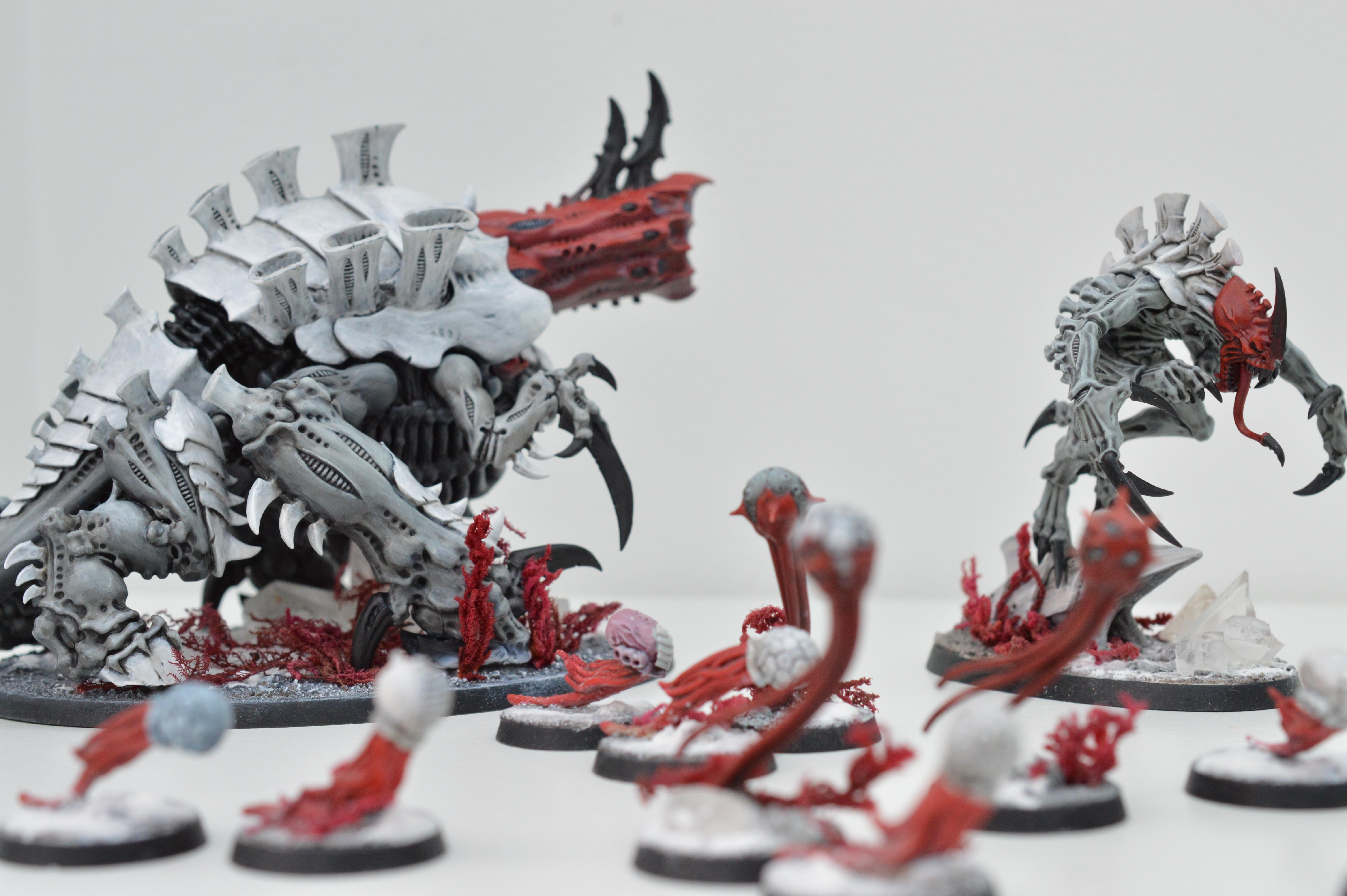 Black, Hive Fleet Typhon, Red, Tyranids, White