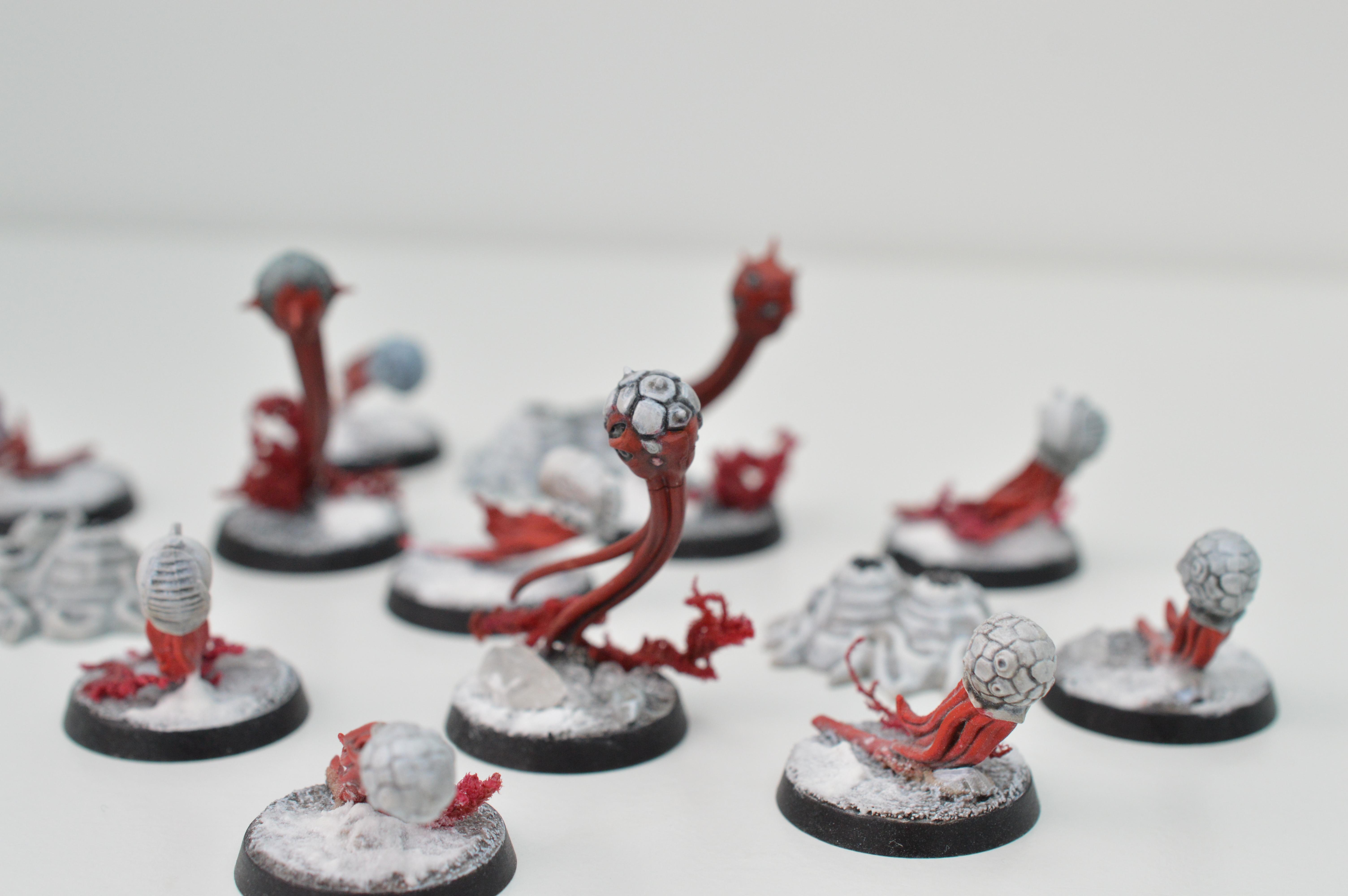 Black, Hive Fleet Typhon, Red, Tyranids, White