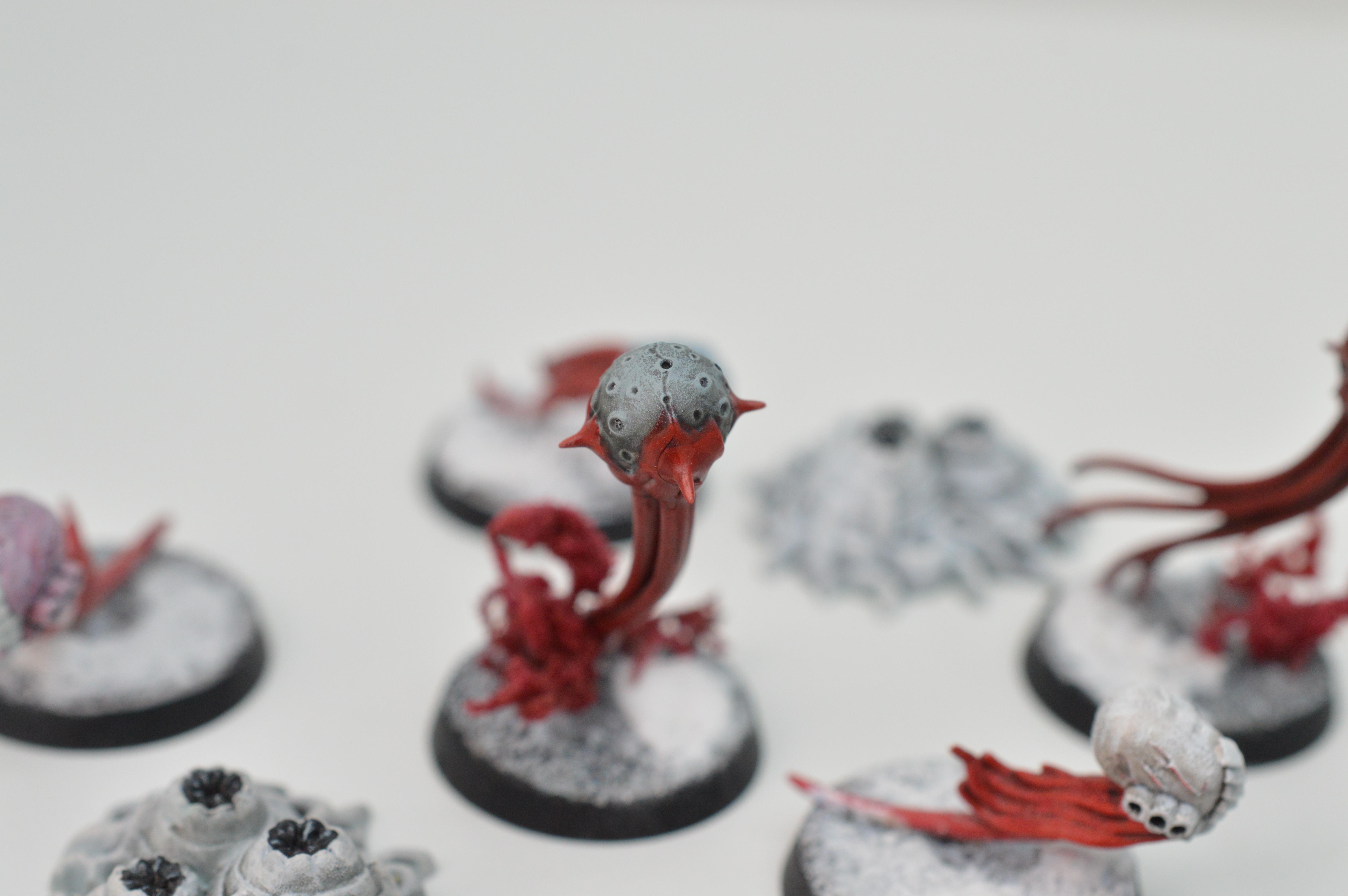 Black, Hive Fleet Typhon, Red, Tyranids, White