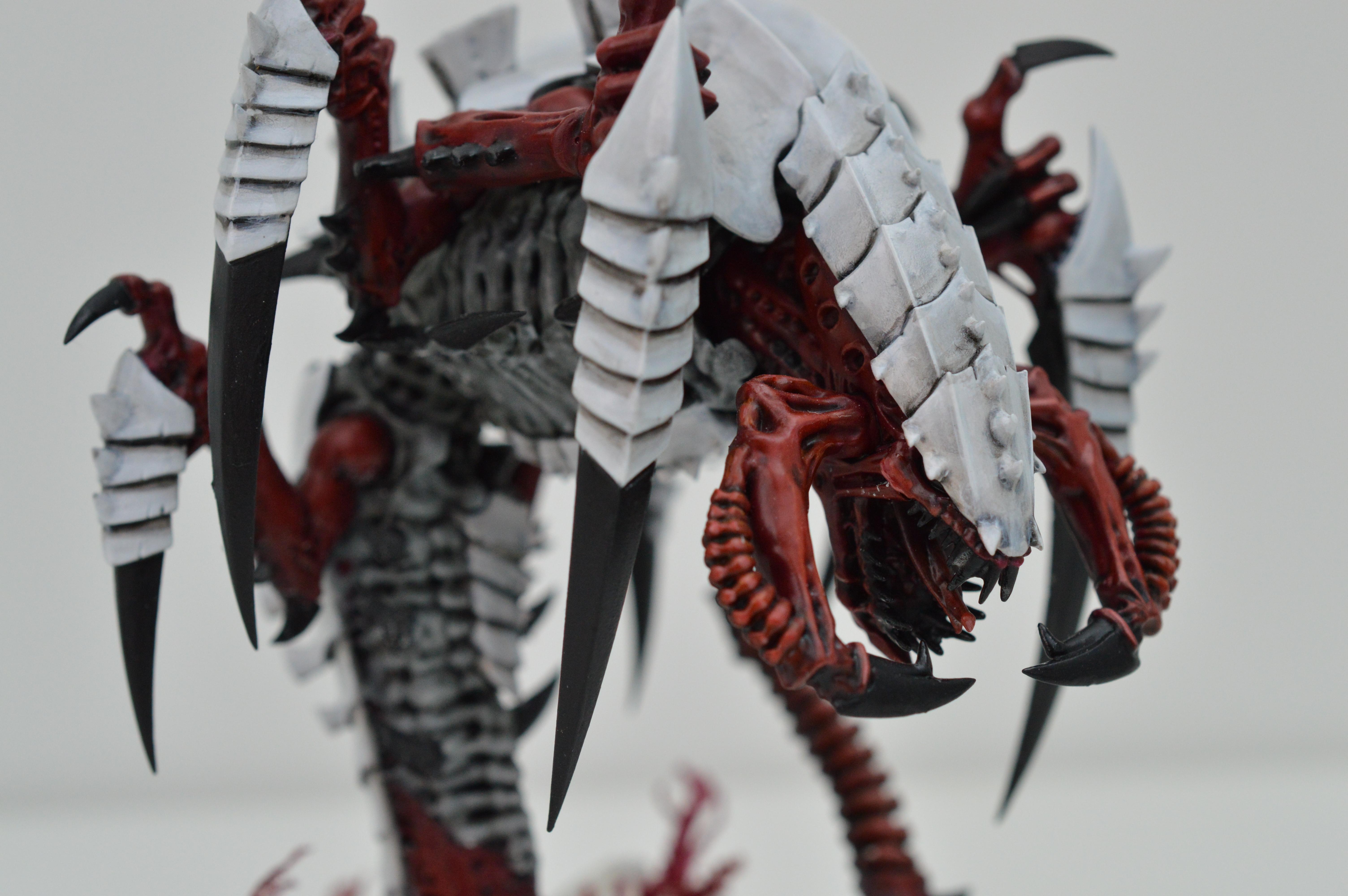 Black, Hive Fleet Typhon, Red, Tyranids, White
