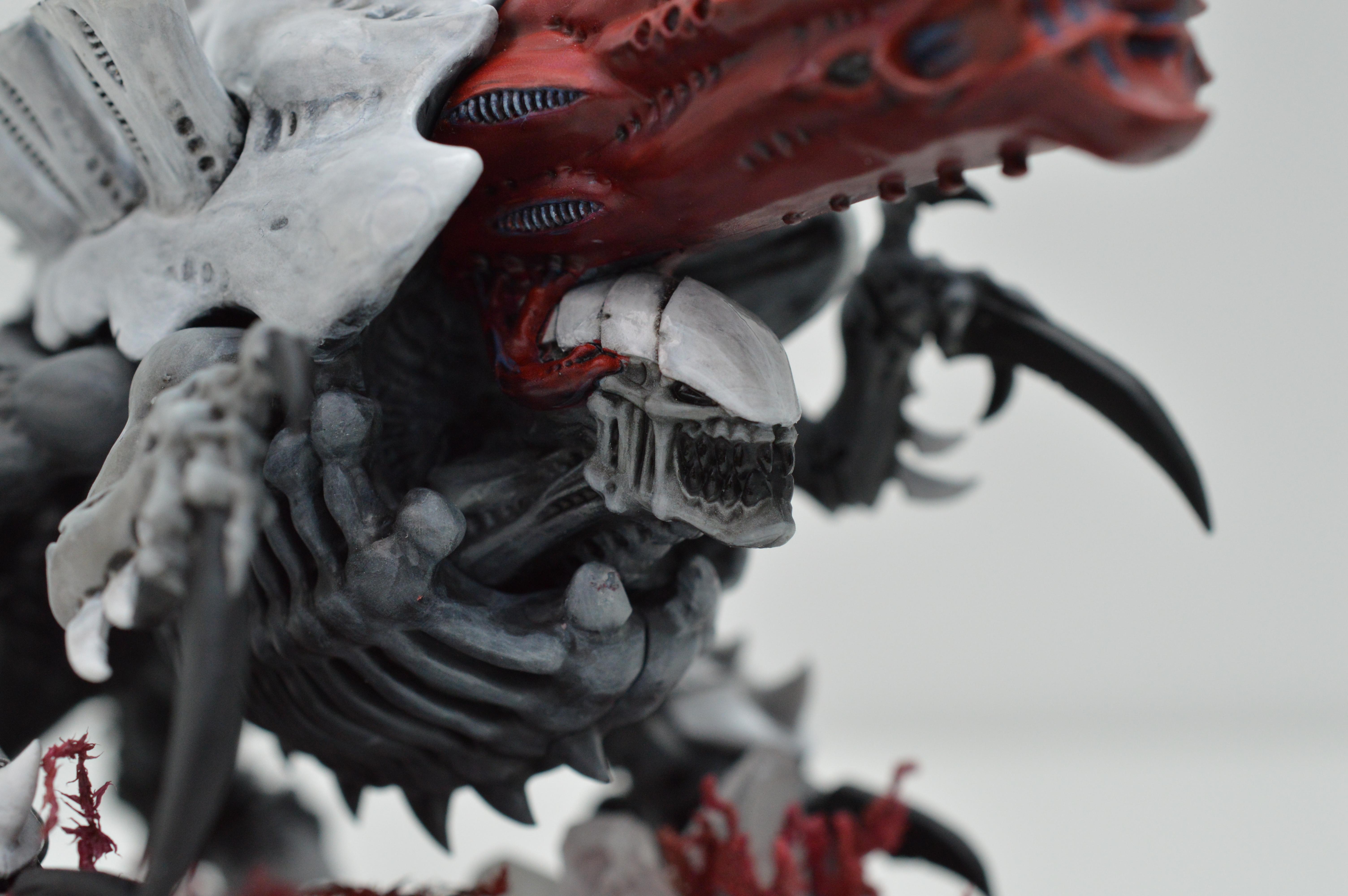 Black, Hive Fleet Typhon, Red, Tyranids, White