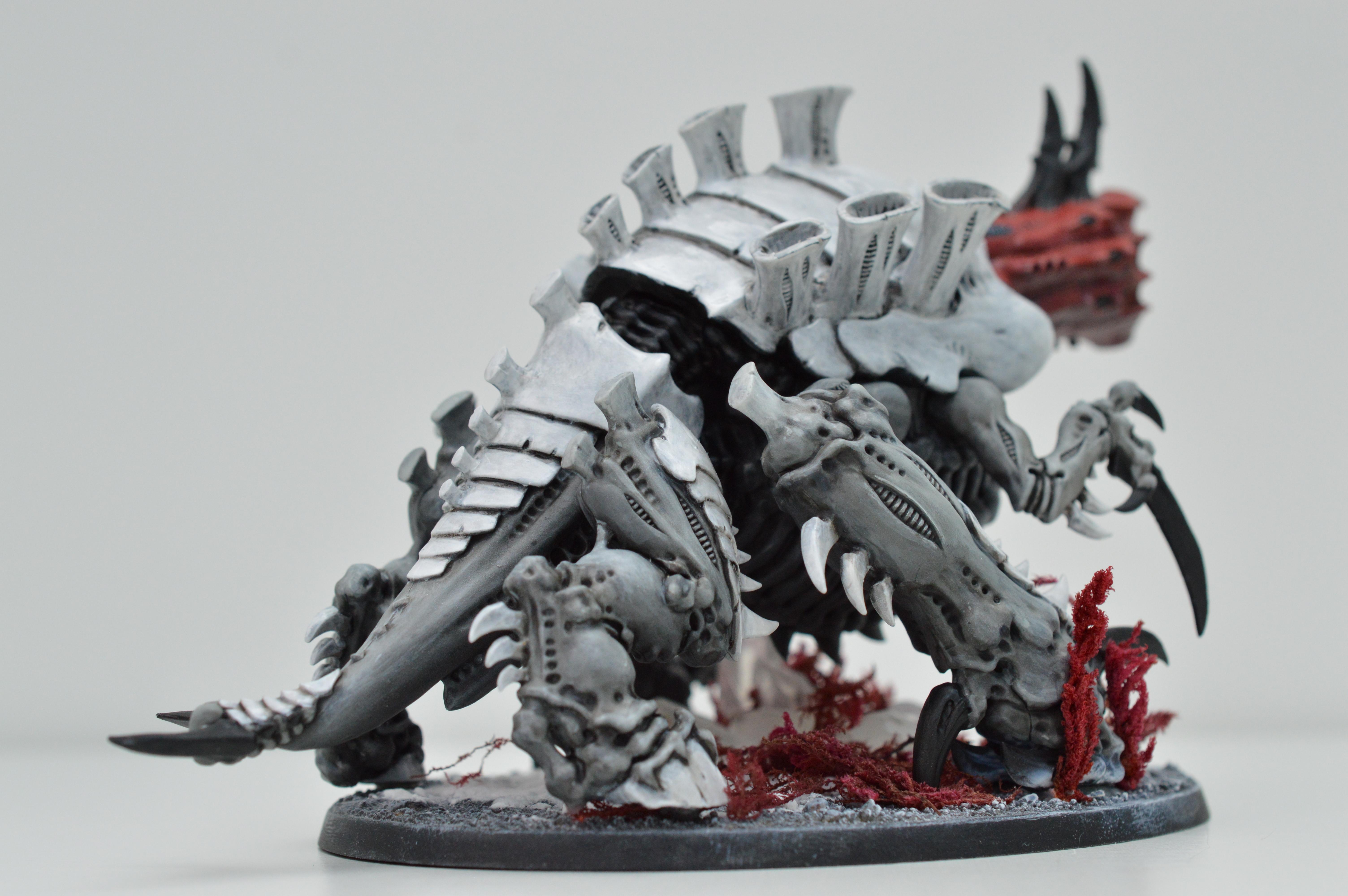 Black, Hive Fleet Typhon, Red, Tyranids, White