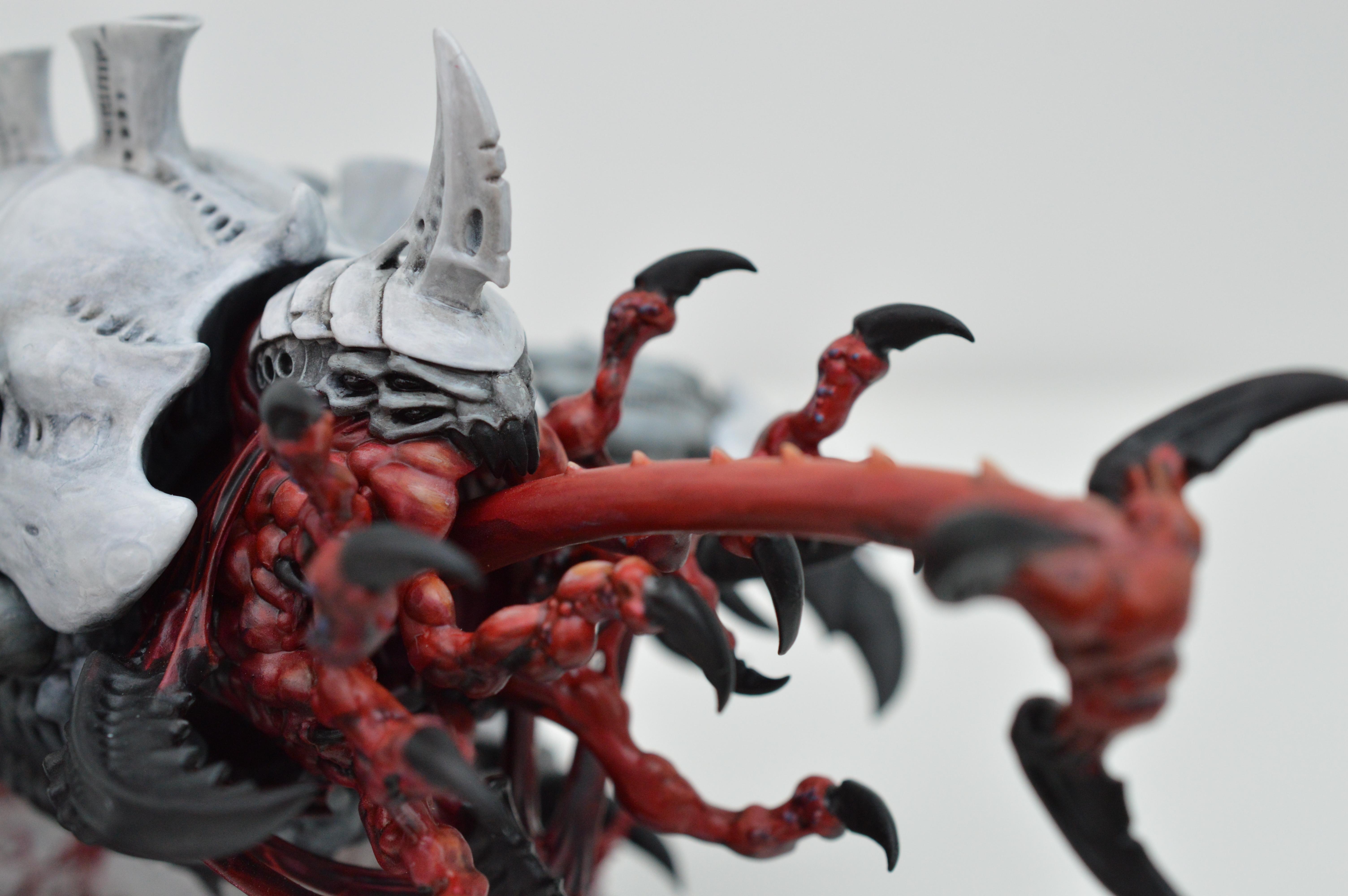Black, Hive Fleet Typhon, Red, Tyranids, White