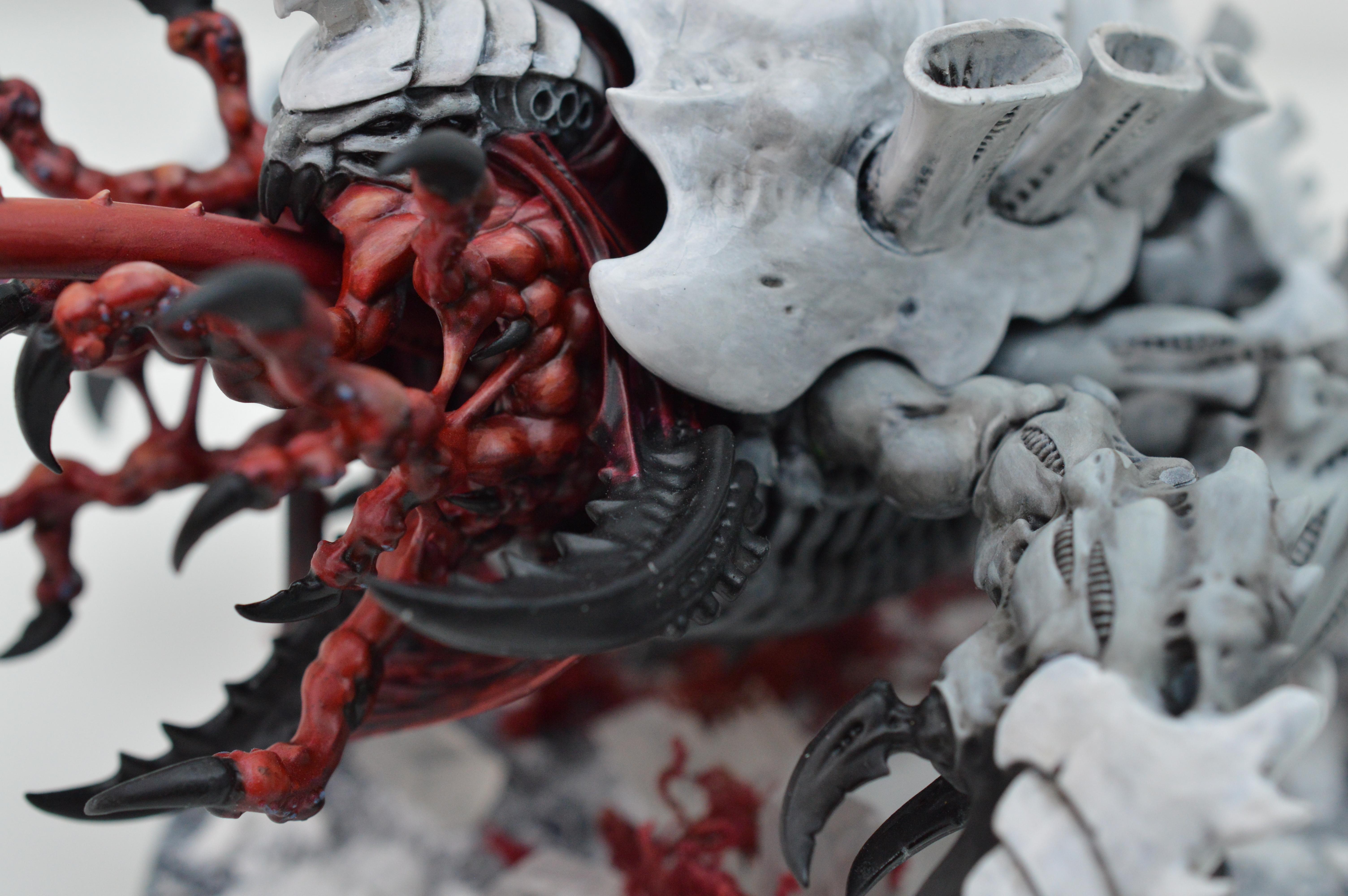 Black, Hive Fleet Typhon, Red, Tyranids, White