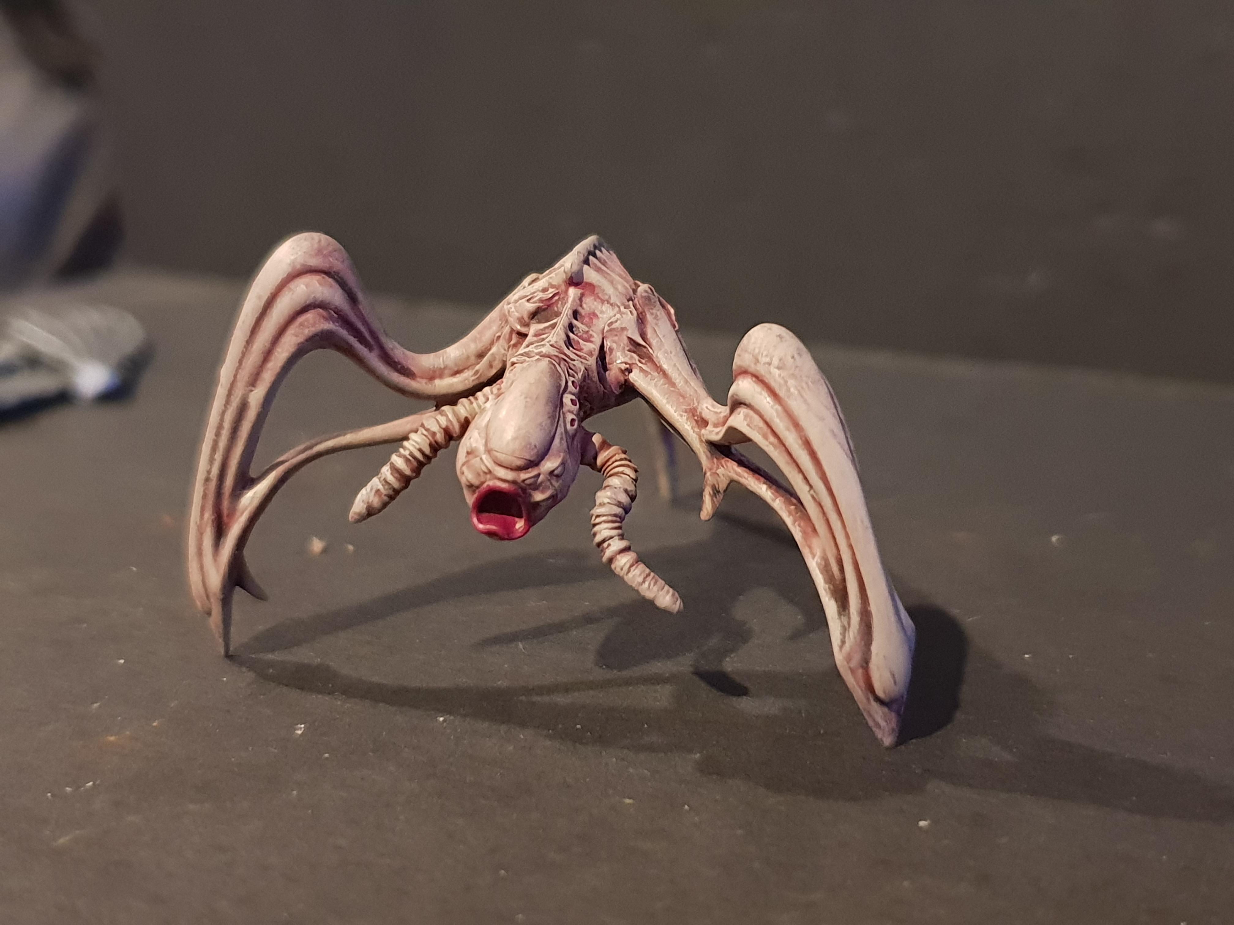 Chaos, Pip, Work In Progress