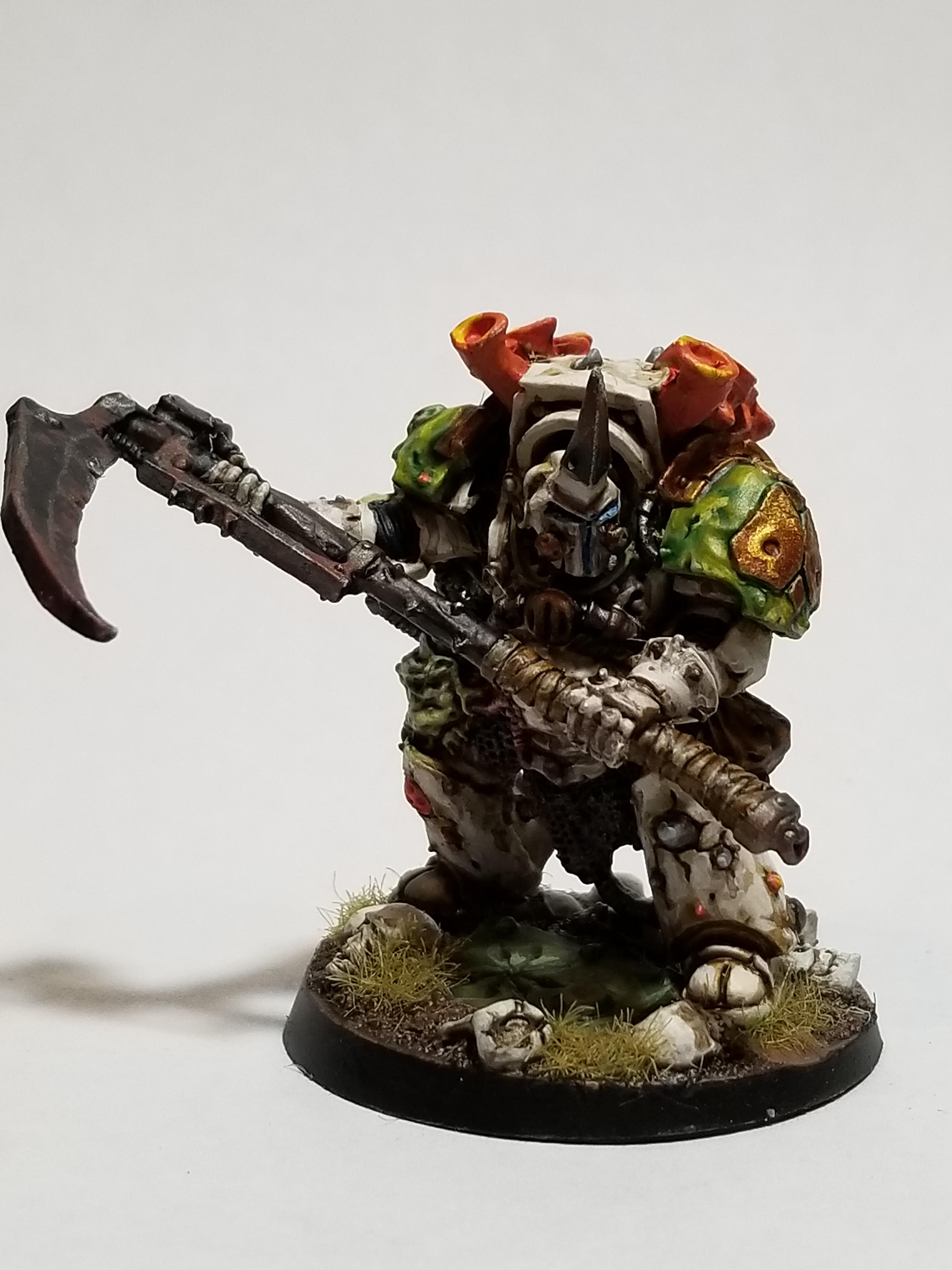 Typhus