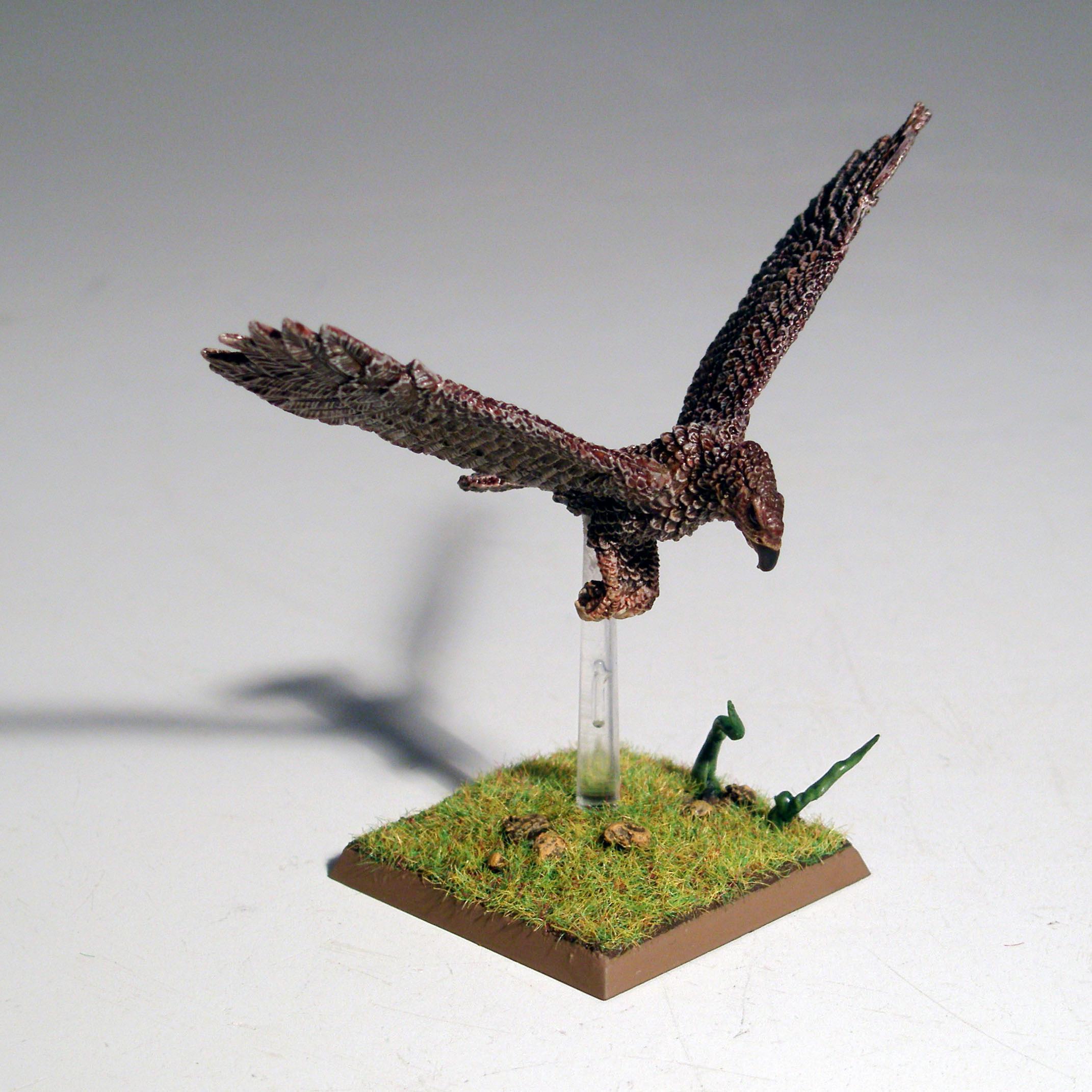 Great Eagle, Warhammer Fantasy, Wood Elves - Great Eagle - Gallery ...