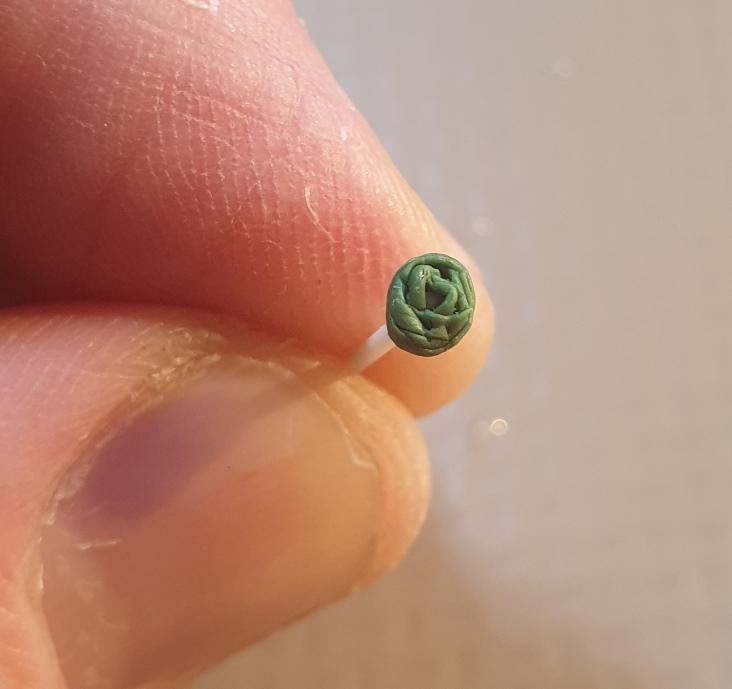 28mm Rose, Sculpting Roses