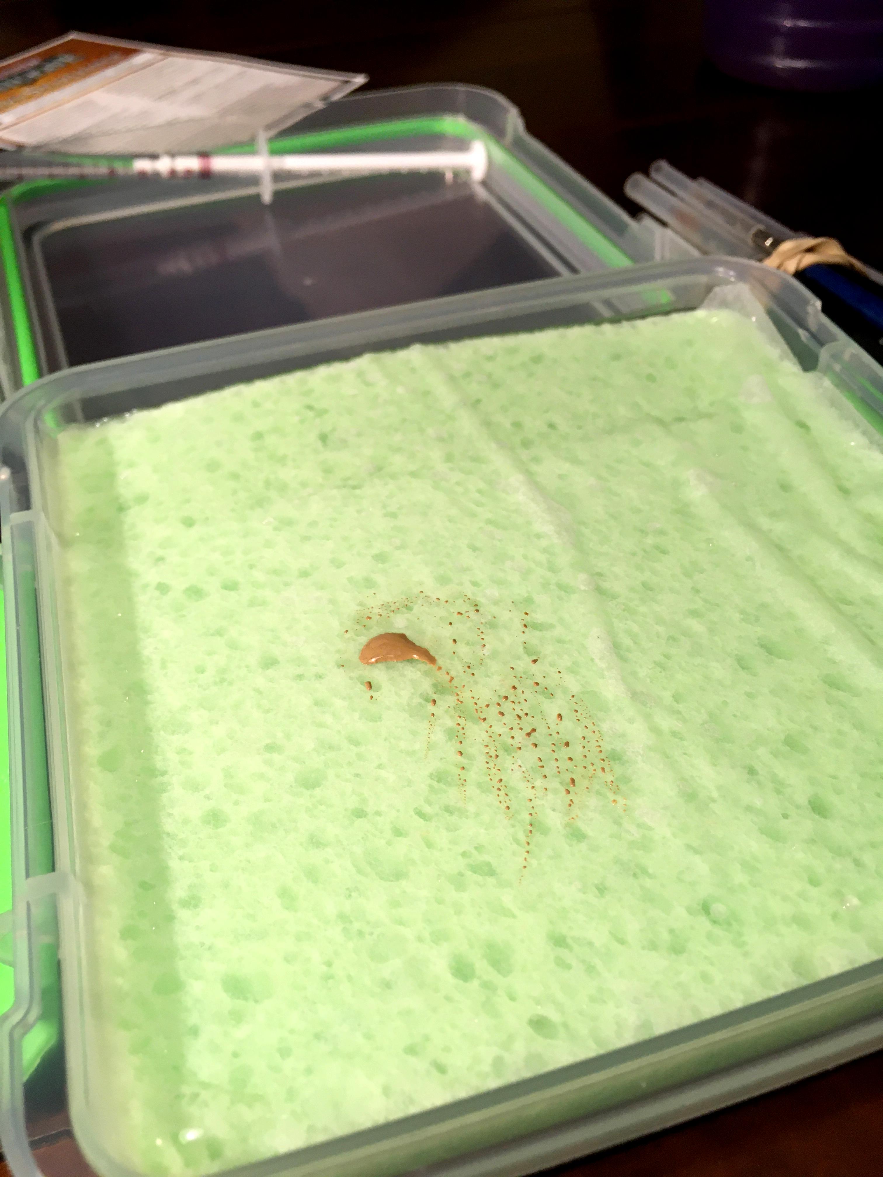 Wet Palette, Wet Palette (Zandri Dust)