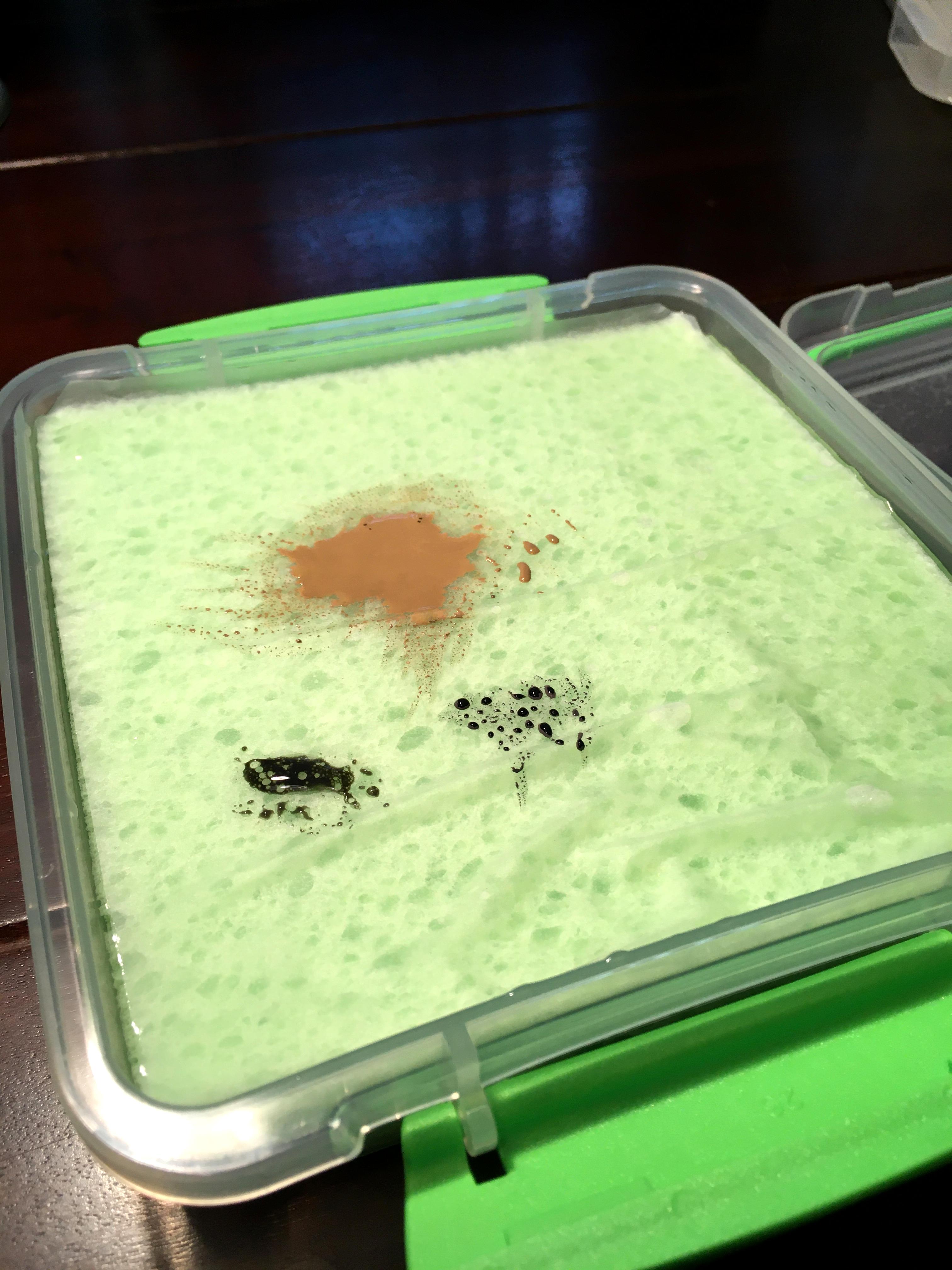 Wet Palette, Wet Palette (1 week, mixed)