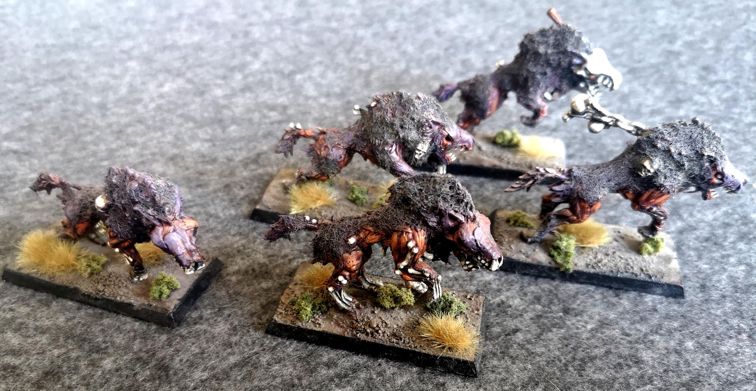 Dire Wolves, Fur, Games Workshop, Undead, Vampire Counts