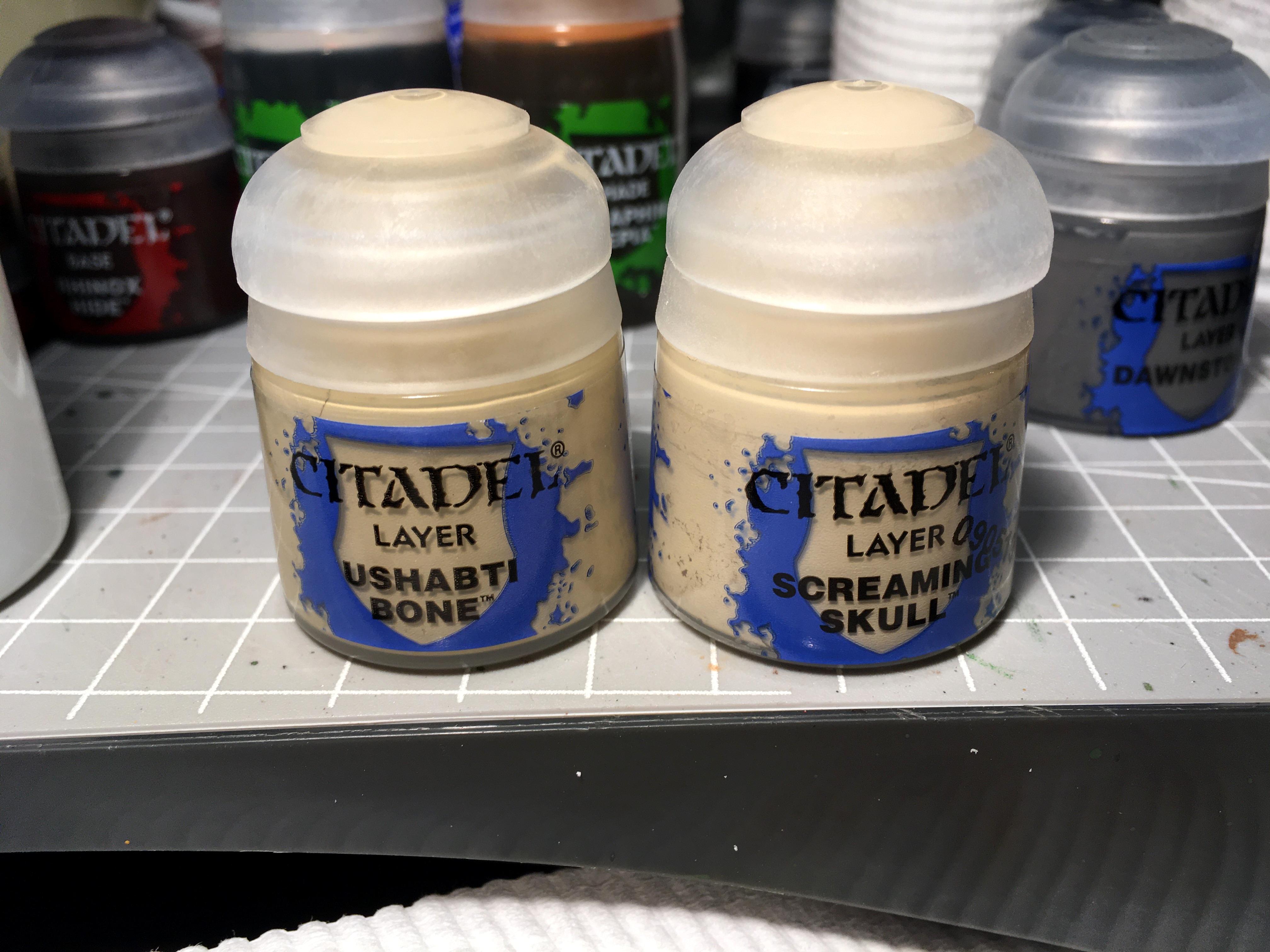 Painting, Ushabti Bone Screaming Skull