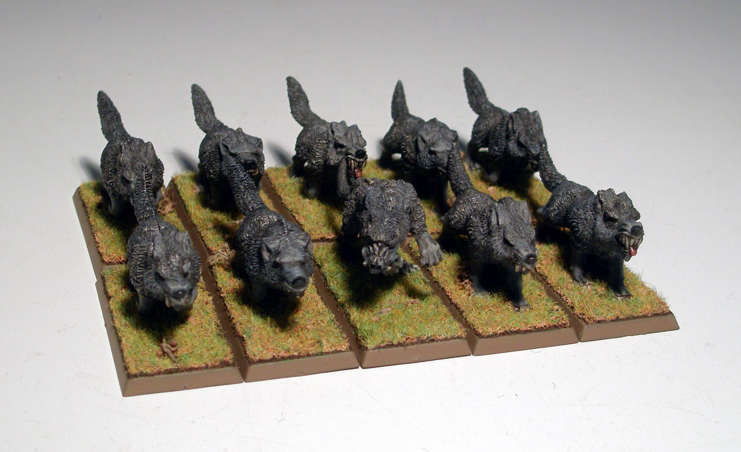 Dire Wolves, Vampire Counts, Warhammer Fantasy