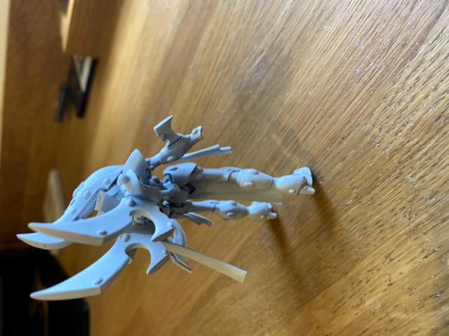 Wraithseer