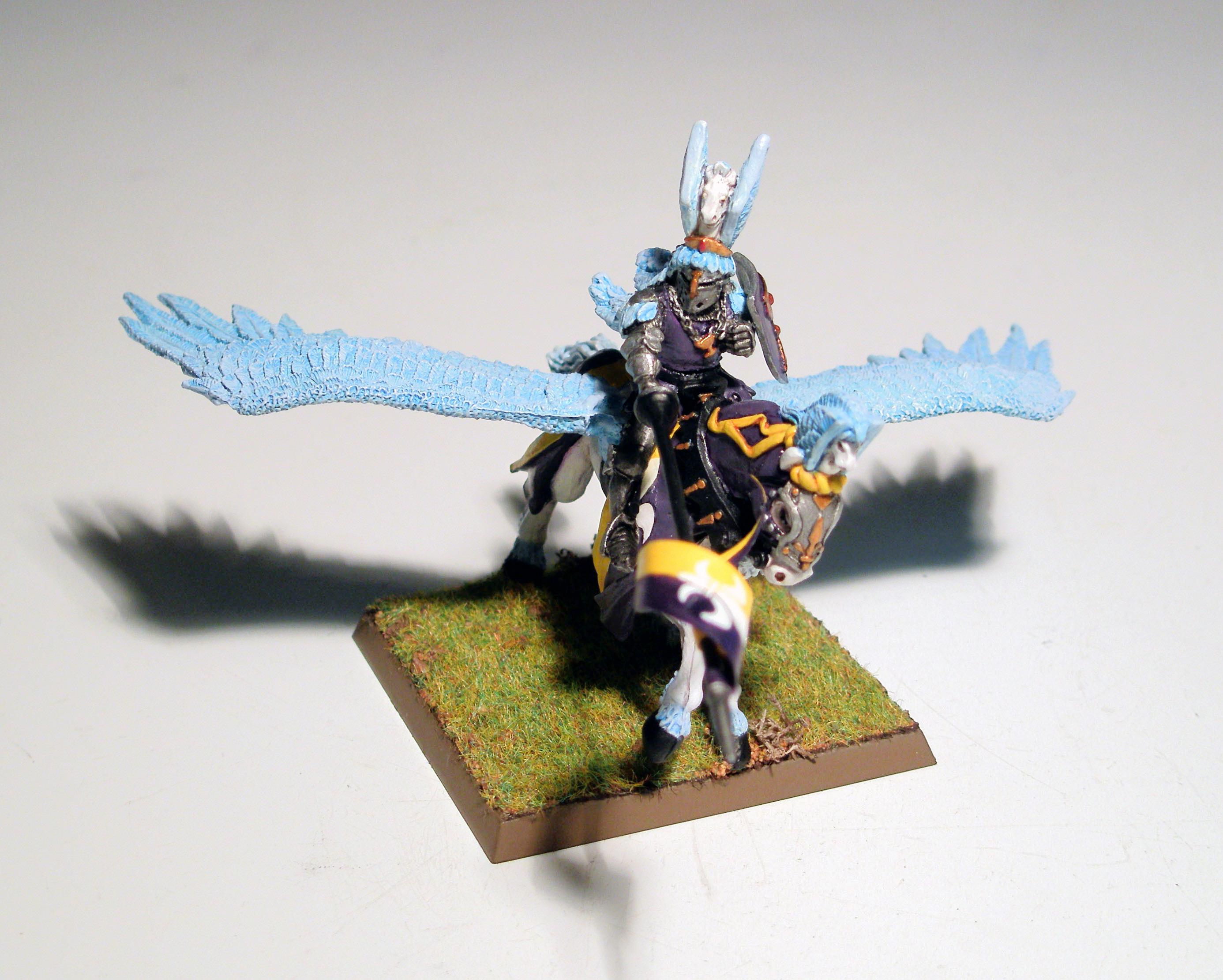 Bretonnians, Grail Paladin, Royal Pegasus, Warhammer Fantasy
