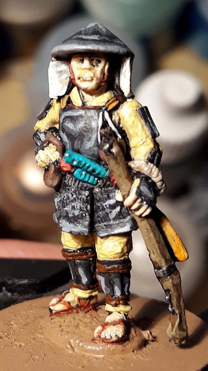 Ashigaru, Japanese, Musket, Test Of Honour