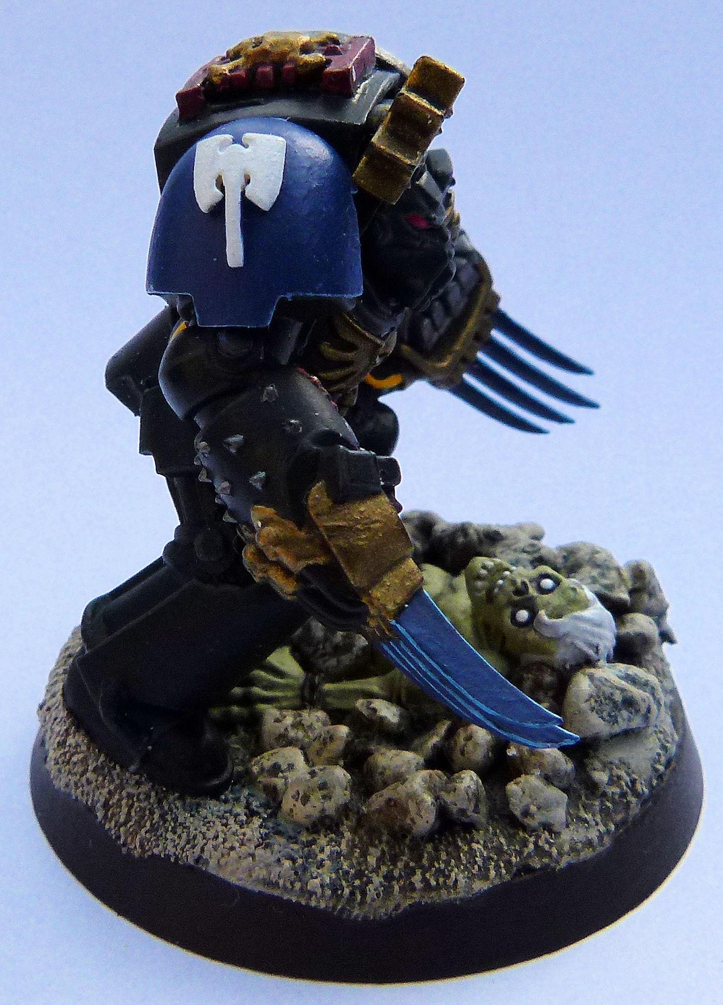 Deathwatch Terminator Dark Hunters Side