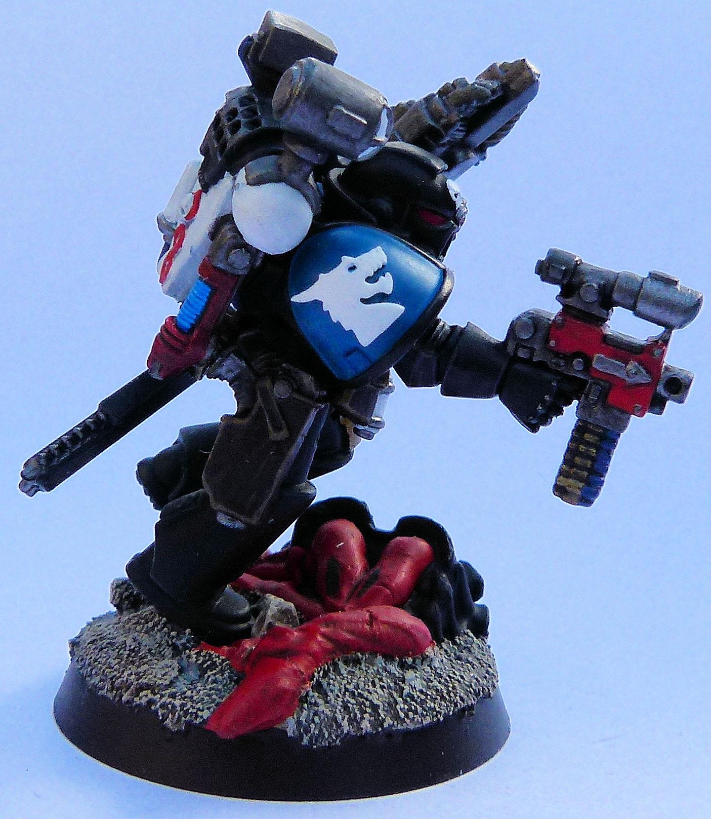 Deathwatch Star Dragons Side