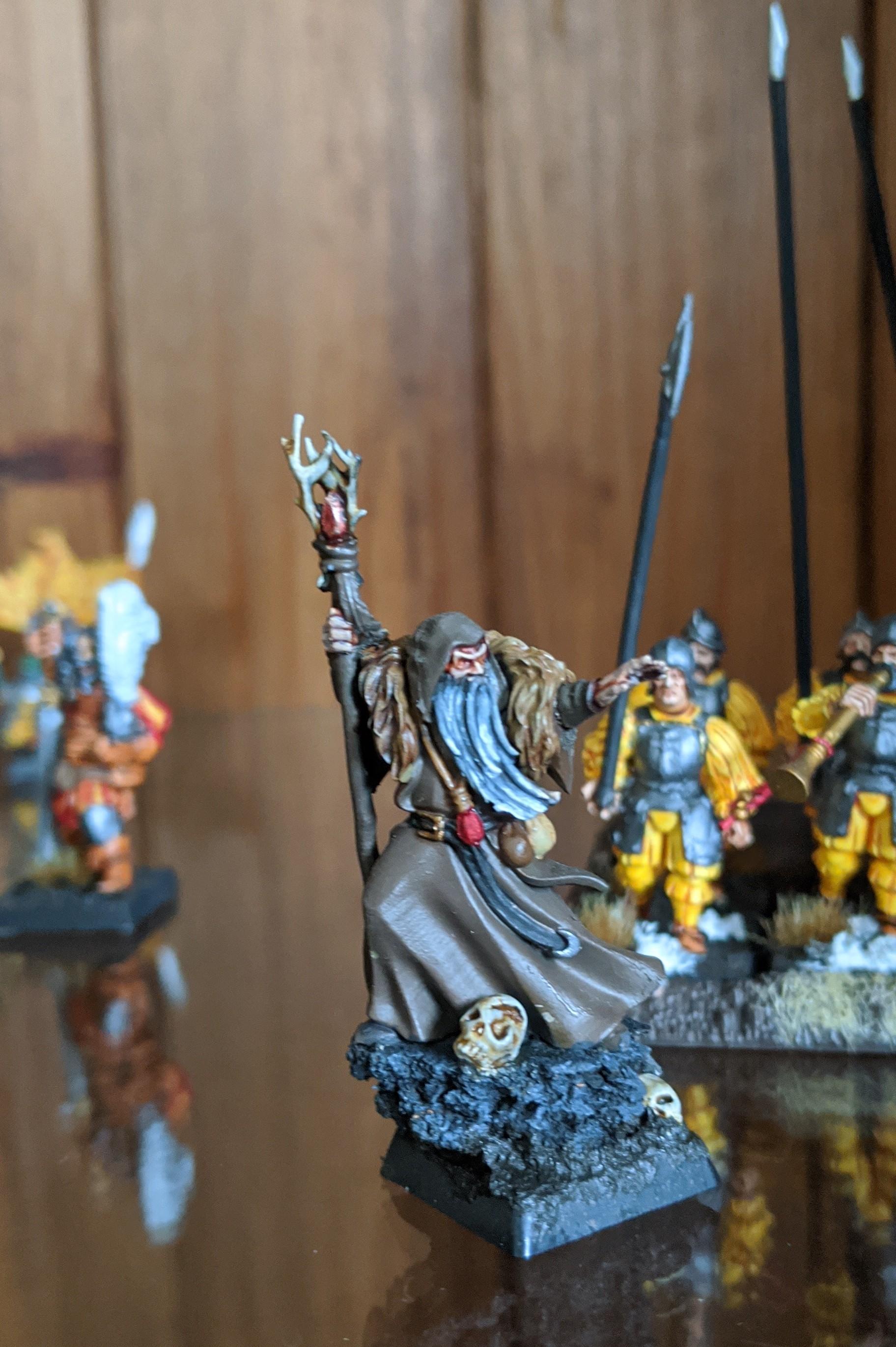 Druid, Wizard