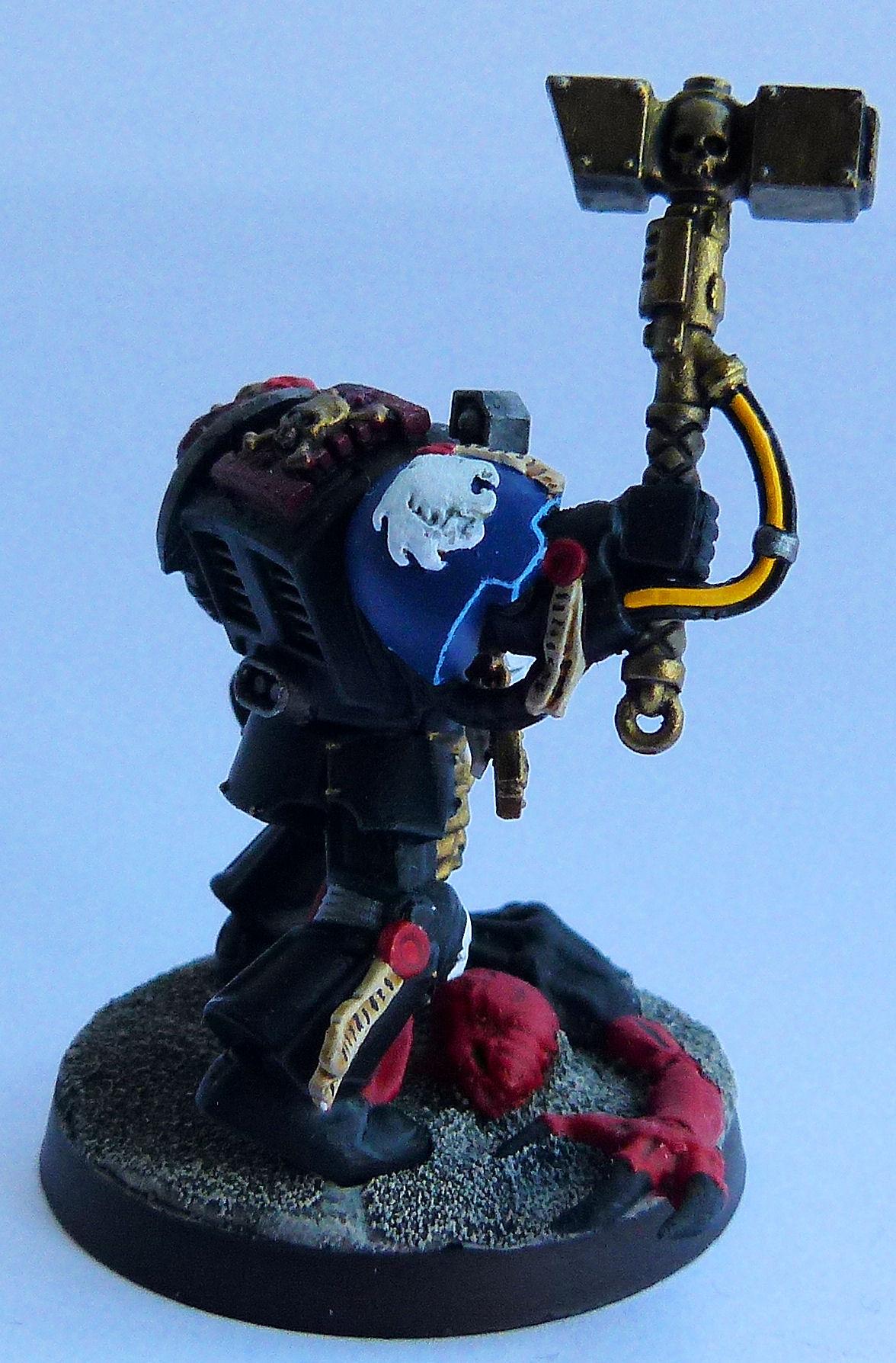 Deathwatch Terminator Celestial Lions Side