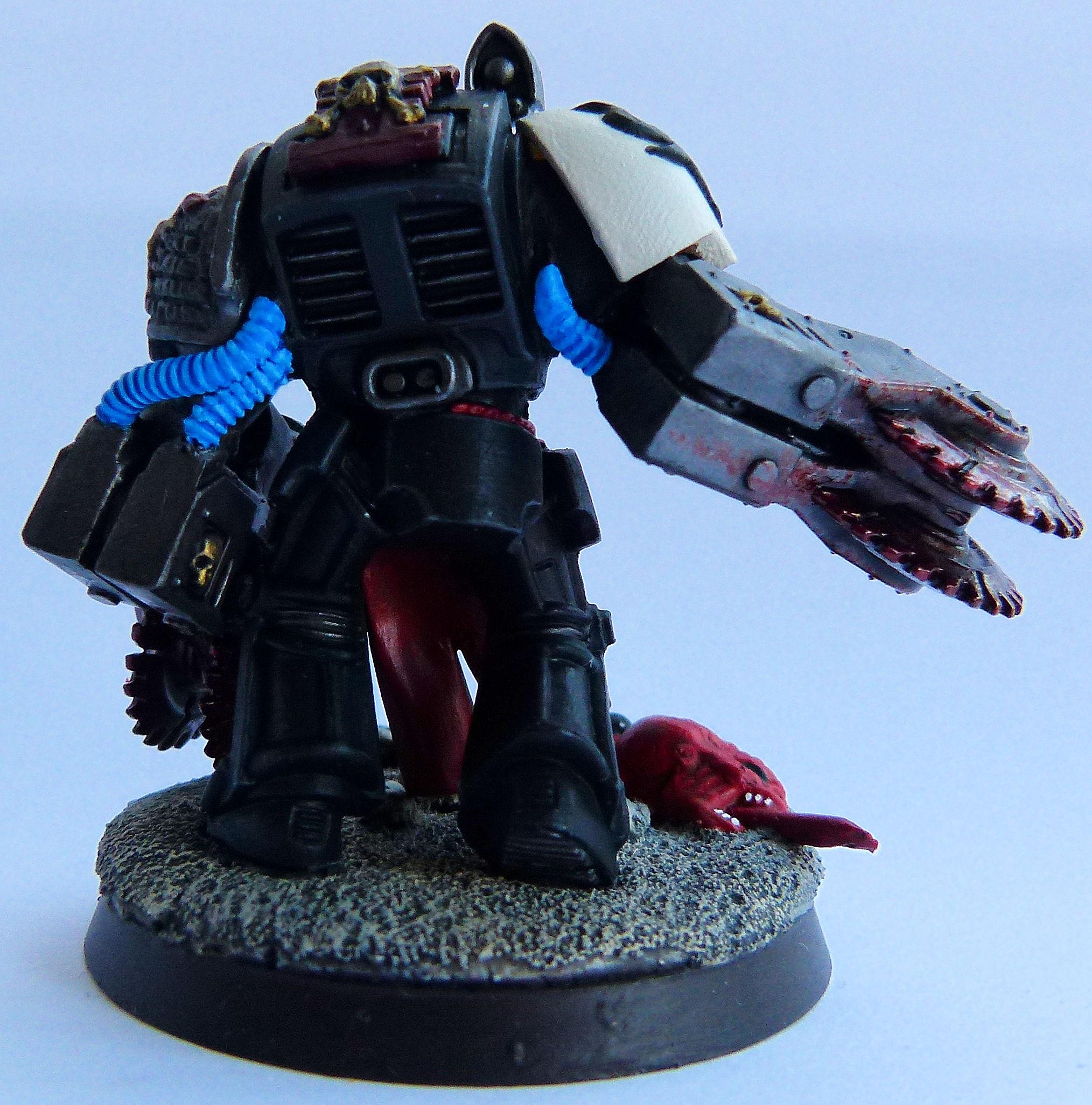 Deathwatch Terminator Back