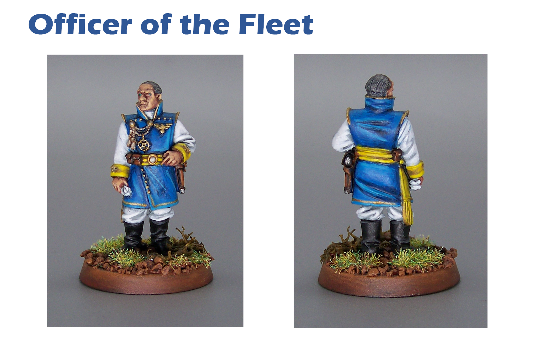 Astra Militarum, Officer Of The Fleet, Regimental Adviser