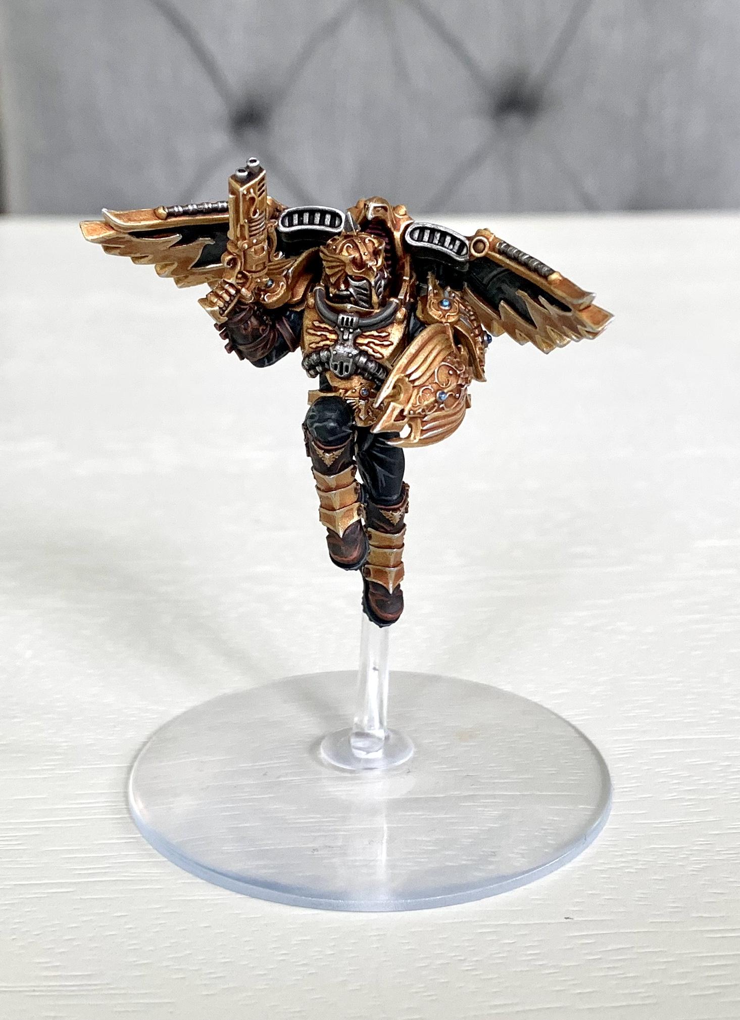 Custodes Venetari 01