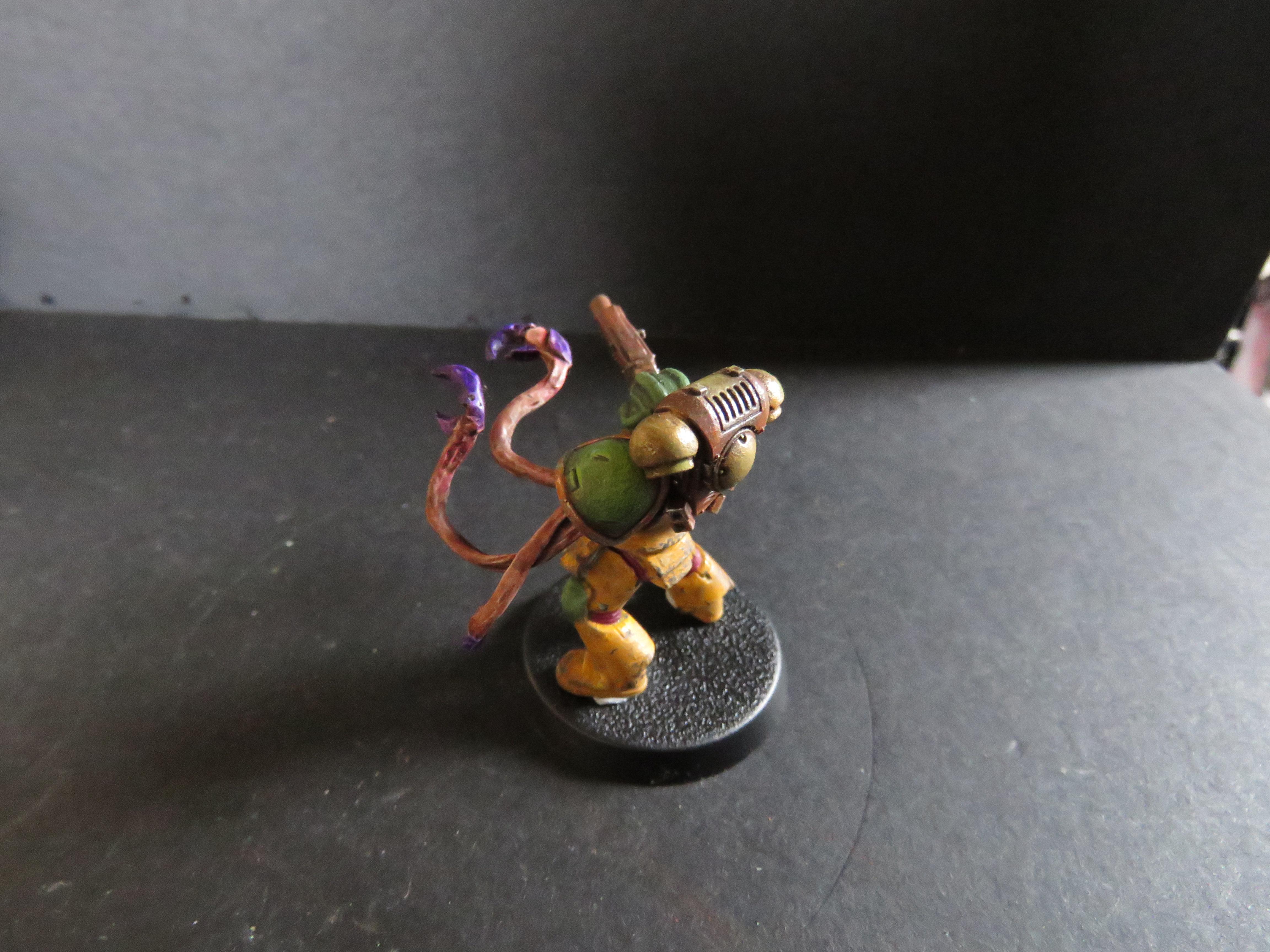 Chaos, Chaos Space Marines, Conversion, Nurgle