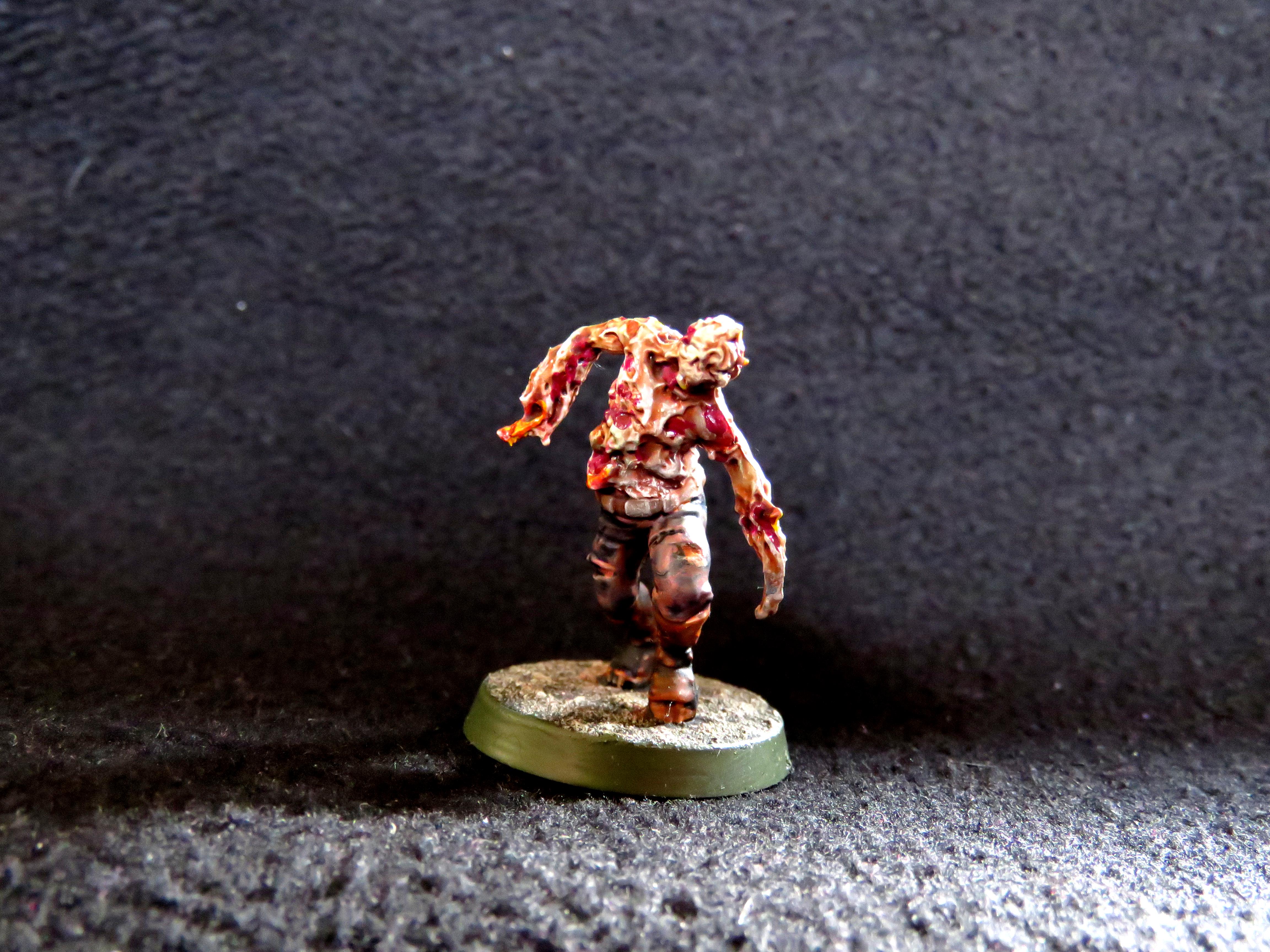 Chaos, Conversion, Nurgle, Poxwalkers