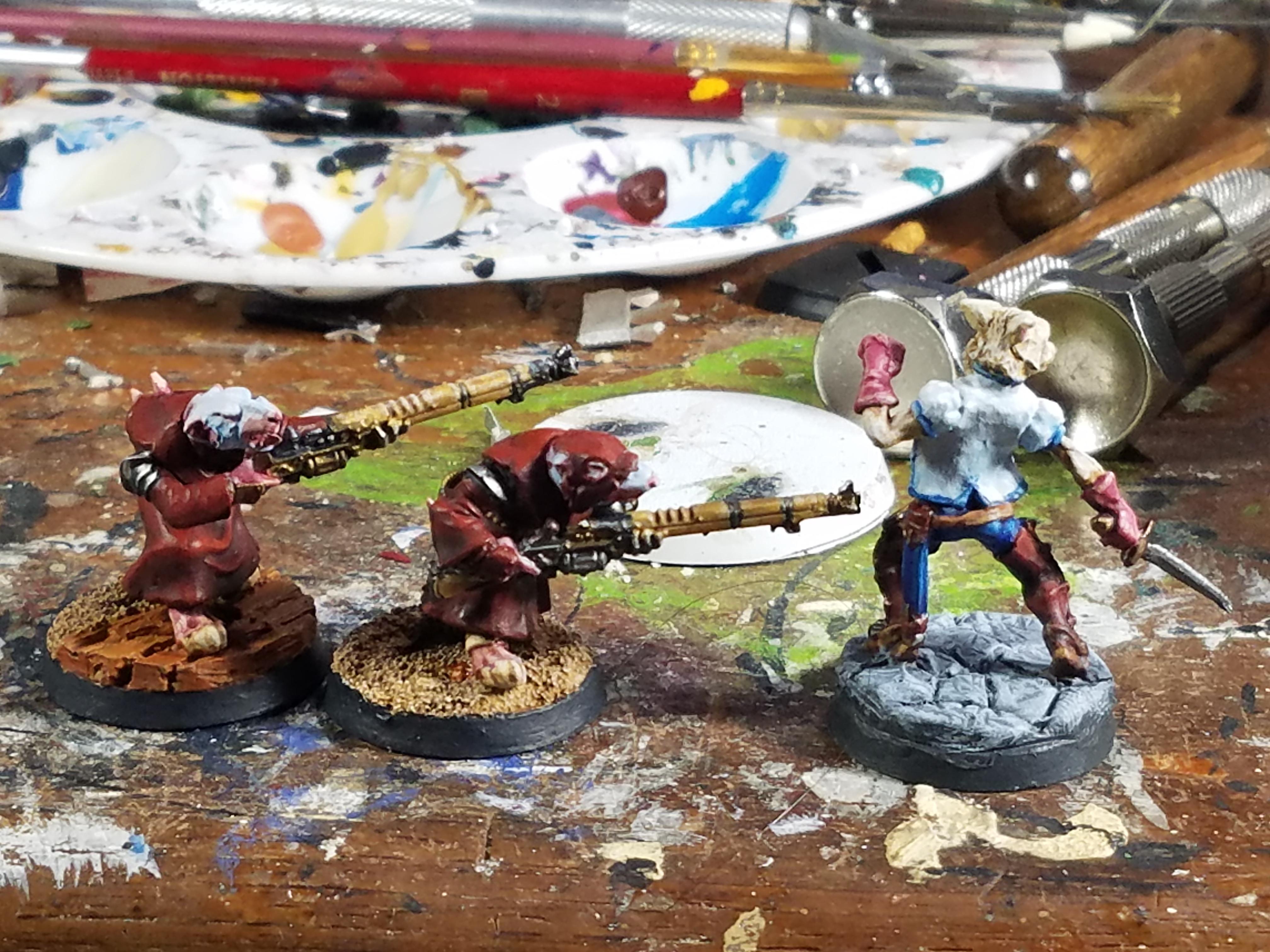 Adeptus Mechanicus, Adventurer, Citadel Miniatures, Dungeons And Dragons, Games Workshop, Rats, Warhammer 40,000, Warhammer Fantasy, Werevixen